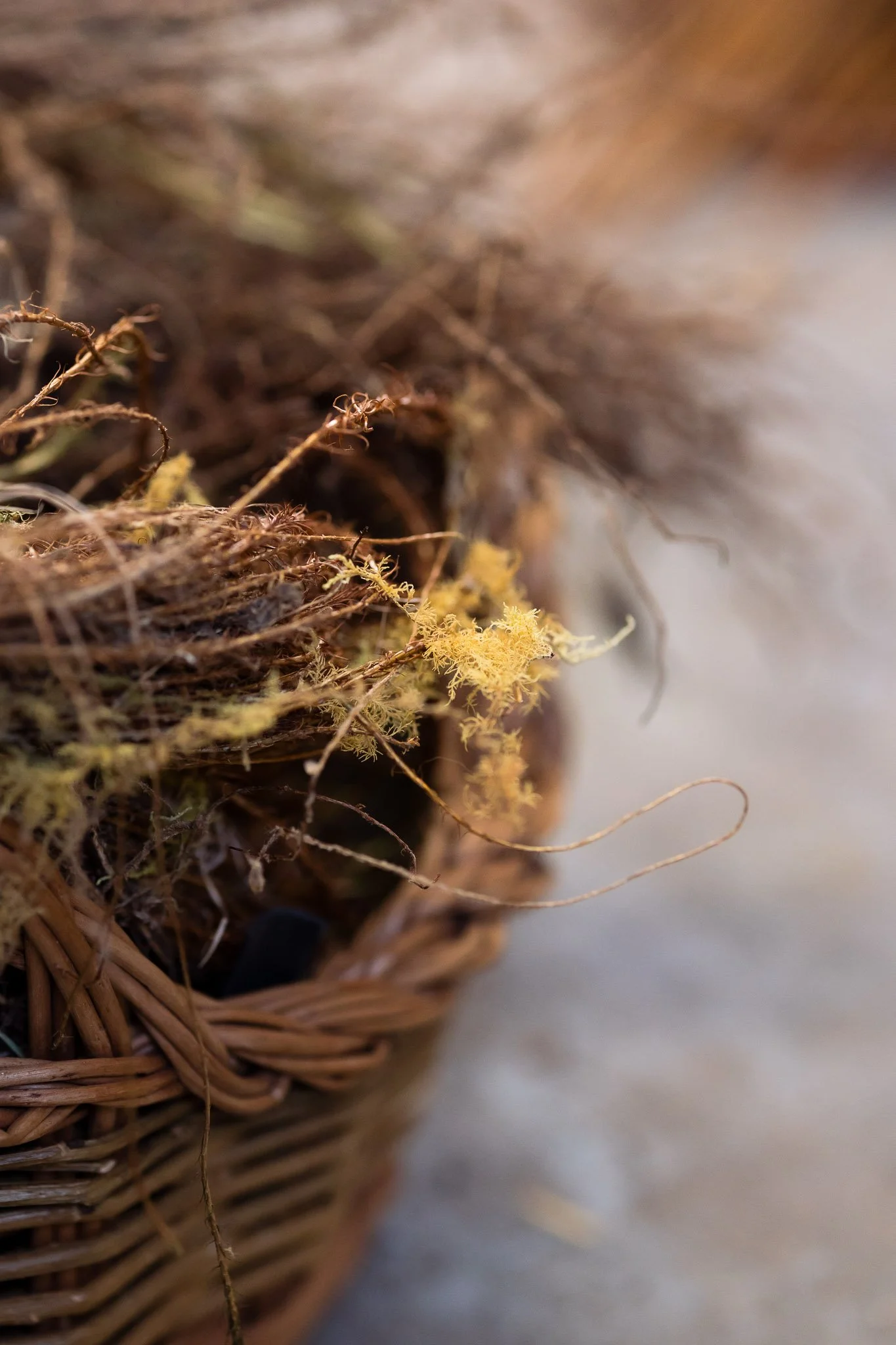 photography of maker in sussex - willow weaver-7.jpg
