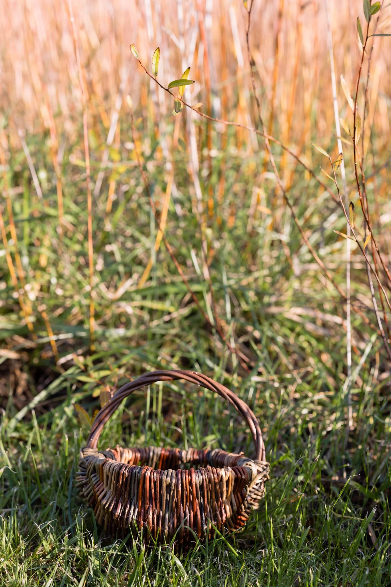 photography of maker in sussex - willow weaver-58.jpg