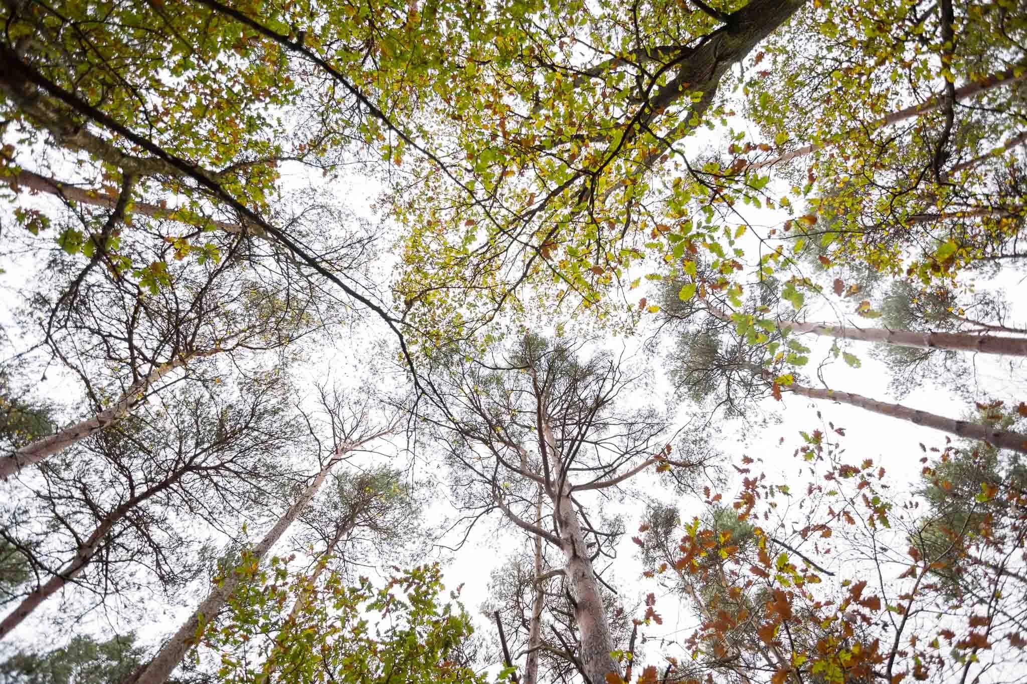 photography of maker in sussex - woodworker-42.jpg