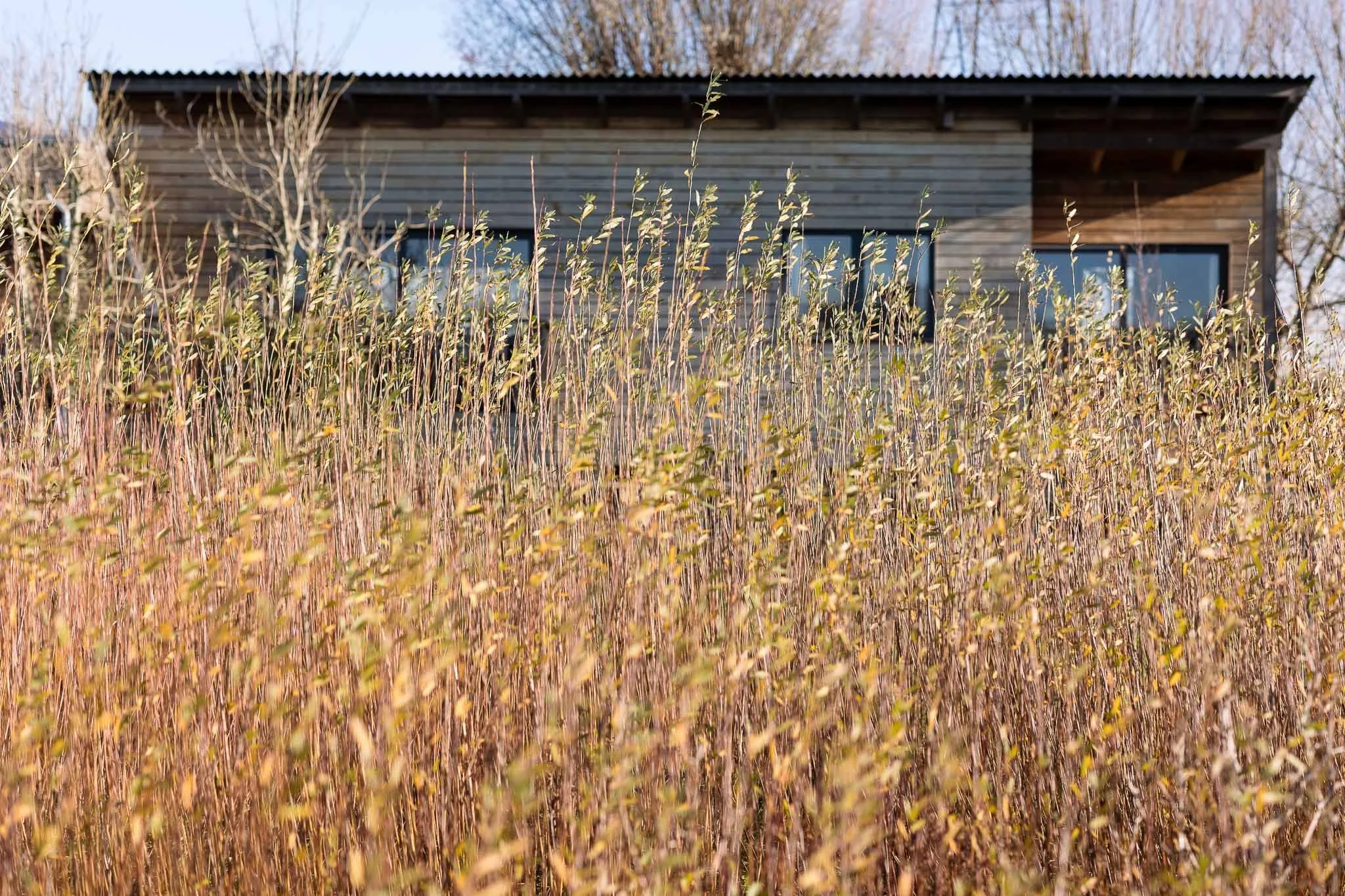 photography of maker in sussex - willow weaver-63.jpg