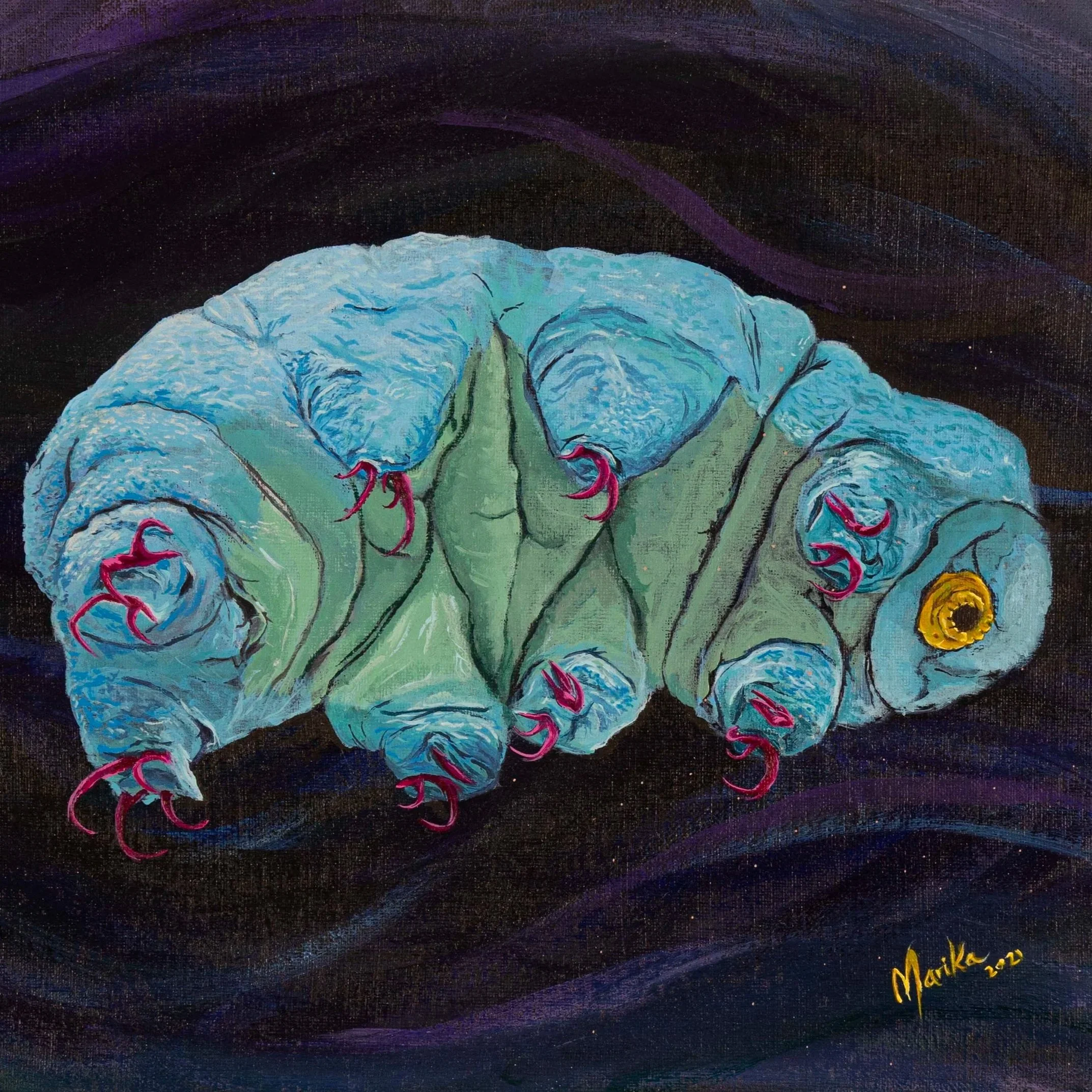 tardigrade.jpg