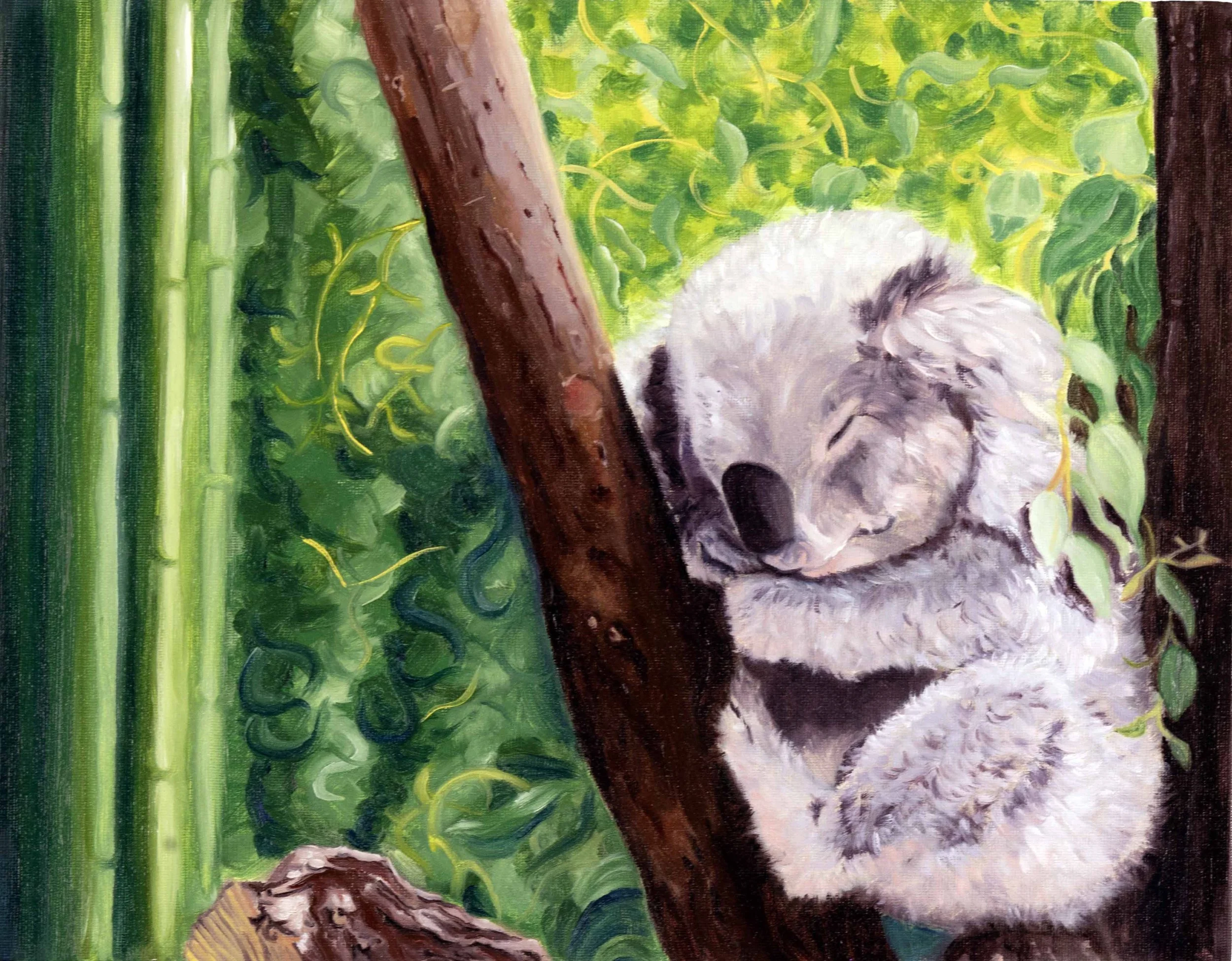 koalasm.jpg