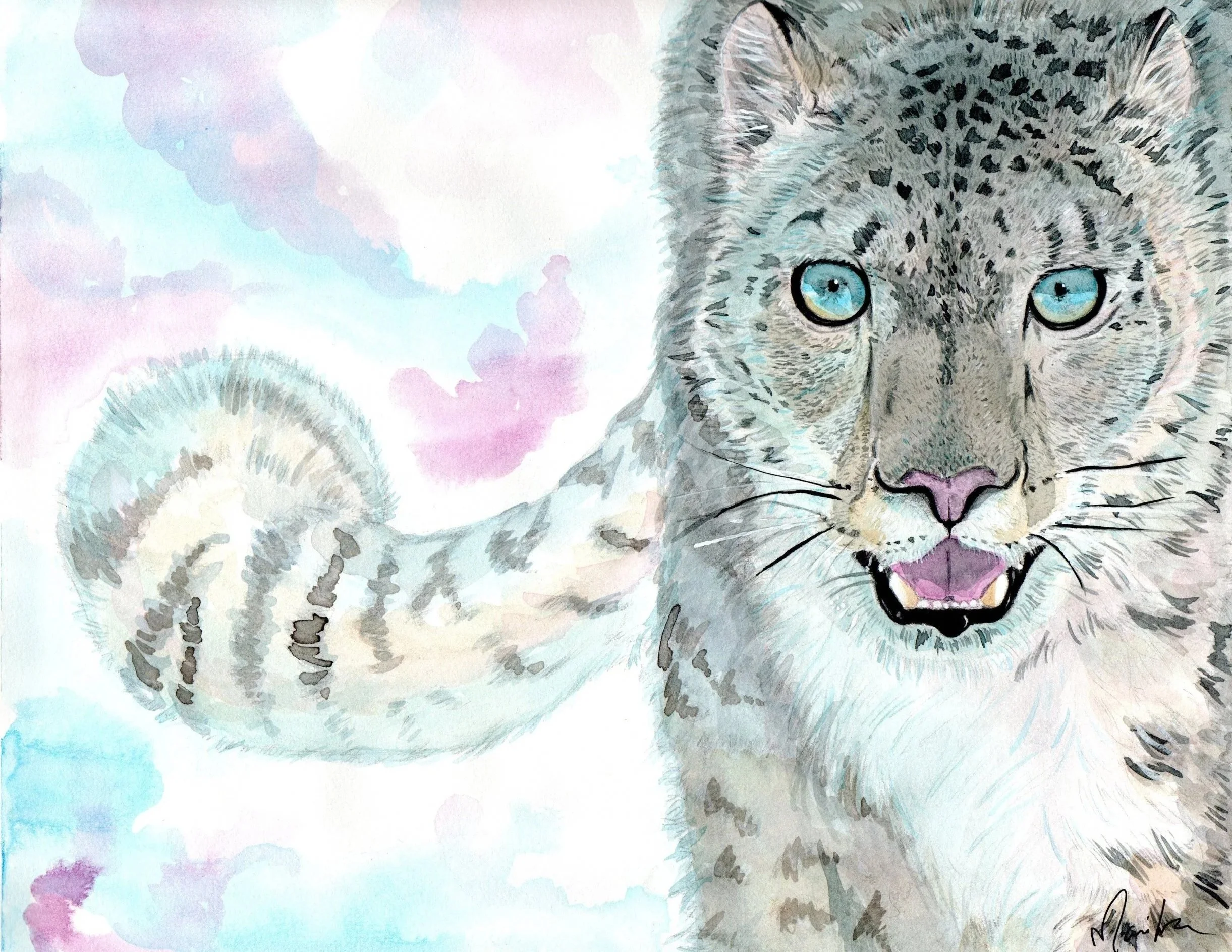 SnowLeopard.jpg