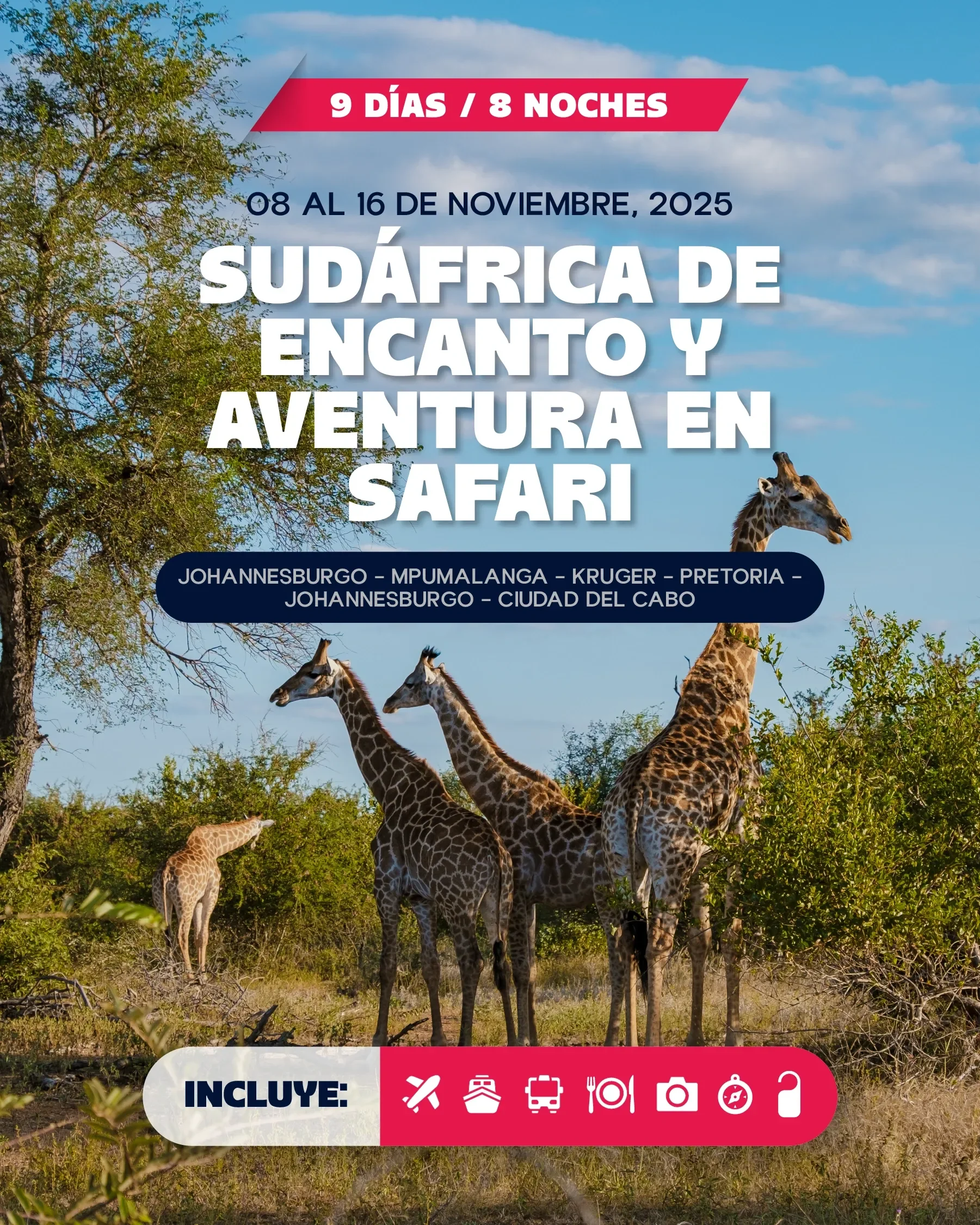 Imagen de un cartel publicitario de una safari aventura en Sudáfrica, con jirafas en la naturaleza y texto en español sobre el itinerario y lo que incluye la actividad.