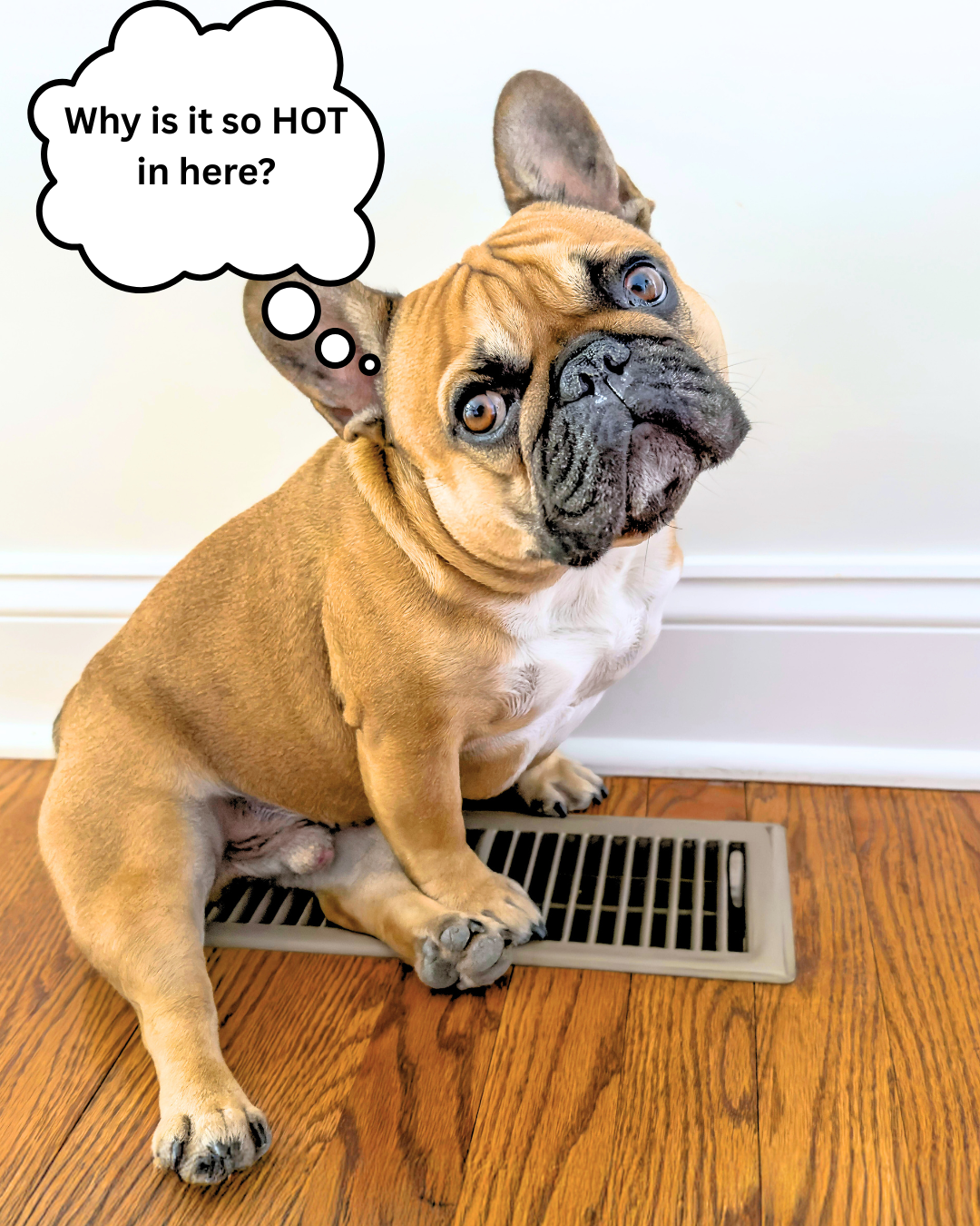 “Why Is My AC Running but Not Cooling?”