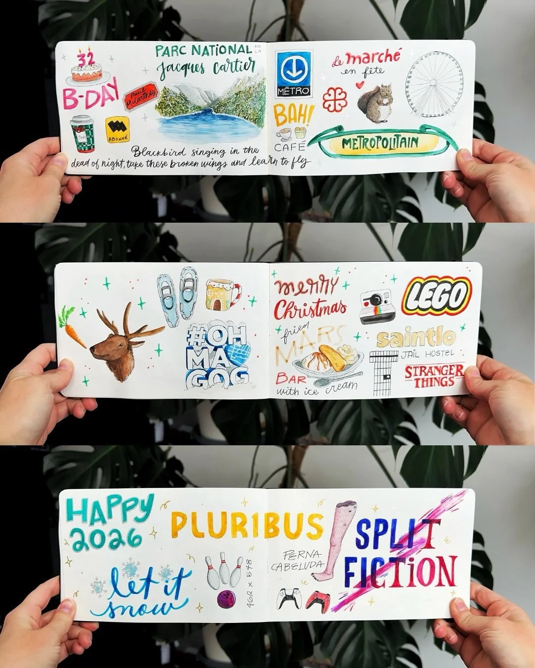 Como prometido, aqui est&aacute; a segunda parte do di&aacute;rio ilustrado do final do ano passado 😬🤭

Meses de novembro (com meu anivers&aacute;rio), dezembro (natal num safari e num hostel numa cadeia) e janeiro (com muita s&eacute;rie, filme e 