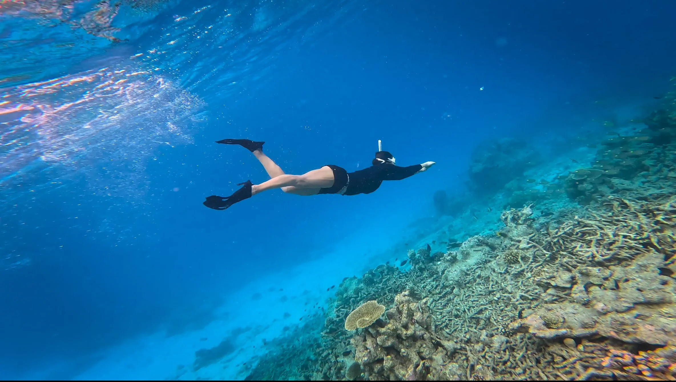 サンゴ礁の上で泳いでいる海の風景