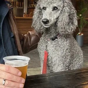 Fine Craft & Craft Breweries: How the two connect the physical expression of the visionary mind.