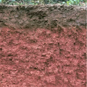 The Magic of Mud and Soil Fundamentals