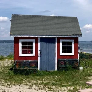 How to Connect Feng Shui, Color, and Light for a Better Life