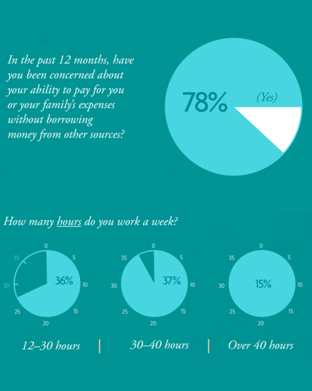 Survey results showing 78% of people are concerned about paying for expenses without borrowing money in the past 12 months, and displaying the distribution of hours worked per week as 36% work 12-30 hours, 37% work 30-40 hours, and 15% work over 40 h