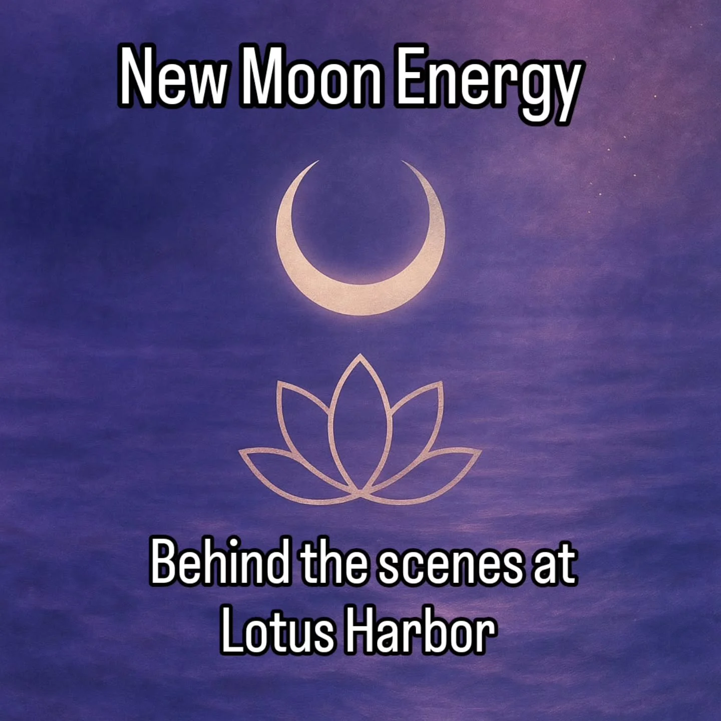 🌑 New Moon Energy &bull; Behind the Scenes at Lotus Harbor

The moon has gone dark, a pause before the rise.

Quietly, behind the scenes, new beginnings are taking shape here at Lotus Harbor.

I&rsquo;ve been grounding systems and aligning each deta