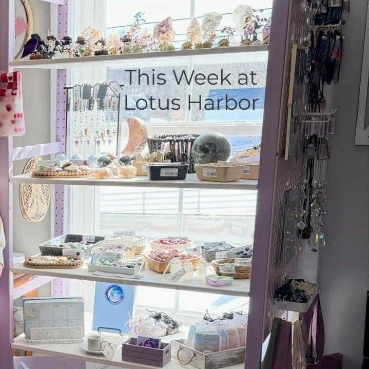 ✨ This week, Lotus Harbor is expanding under a growing moon.

We&rsquo;re in the waxing phase, building toward the Full Moon on March 3 at 6:37 AM ET. As the light increases, so does clarity and forward movement. And this season feels exactly like th