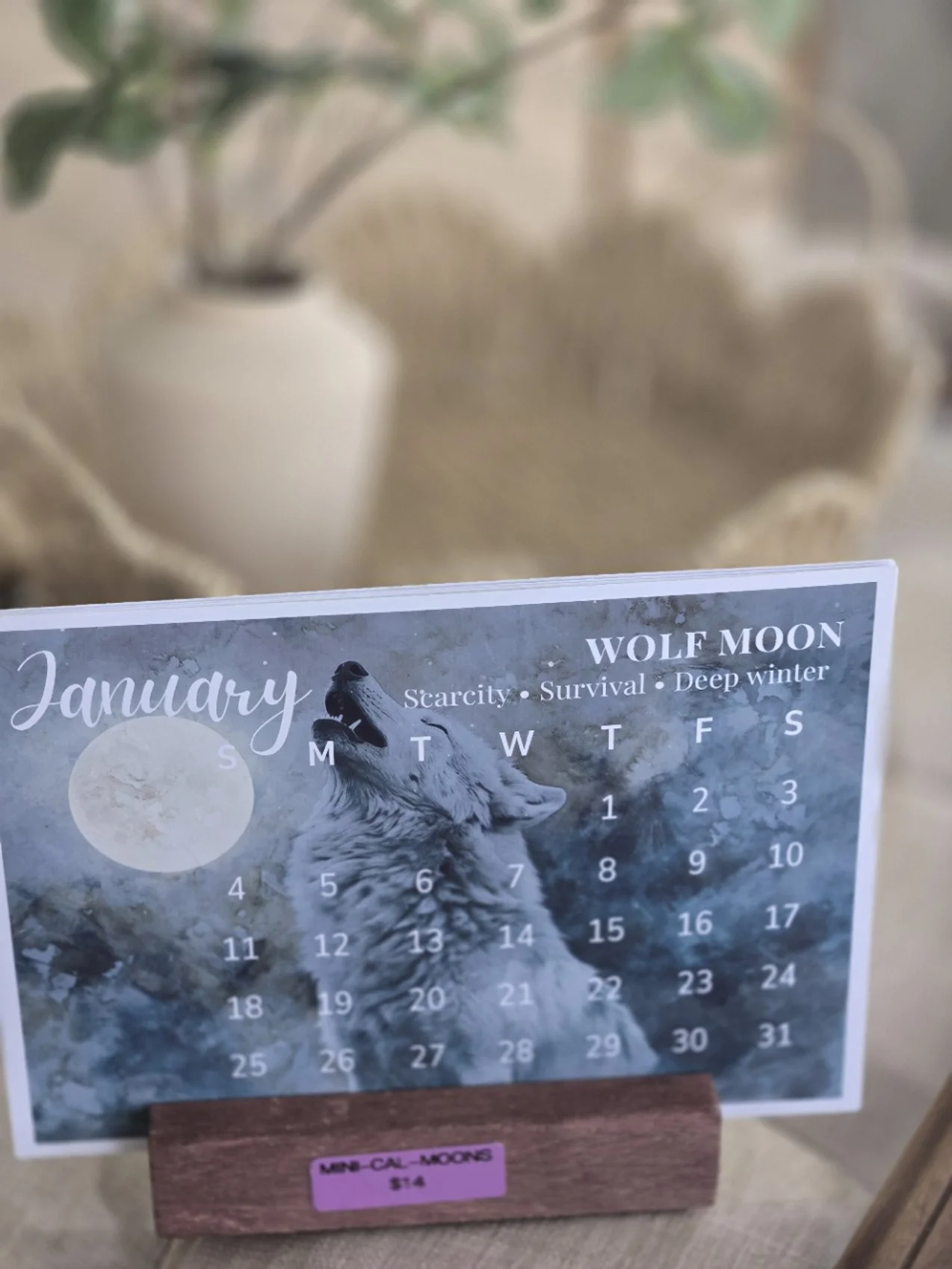 Mini Moon Month Calendar (Yearly)
