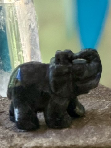 Labrad Elephant.v2.JPEG