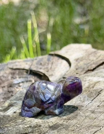 Turtle Amethyst.v2.JPEG