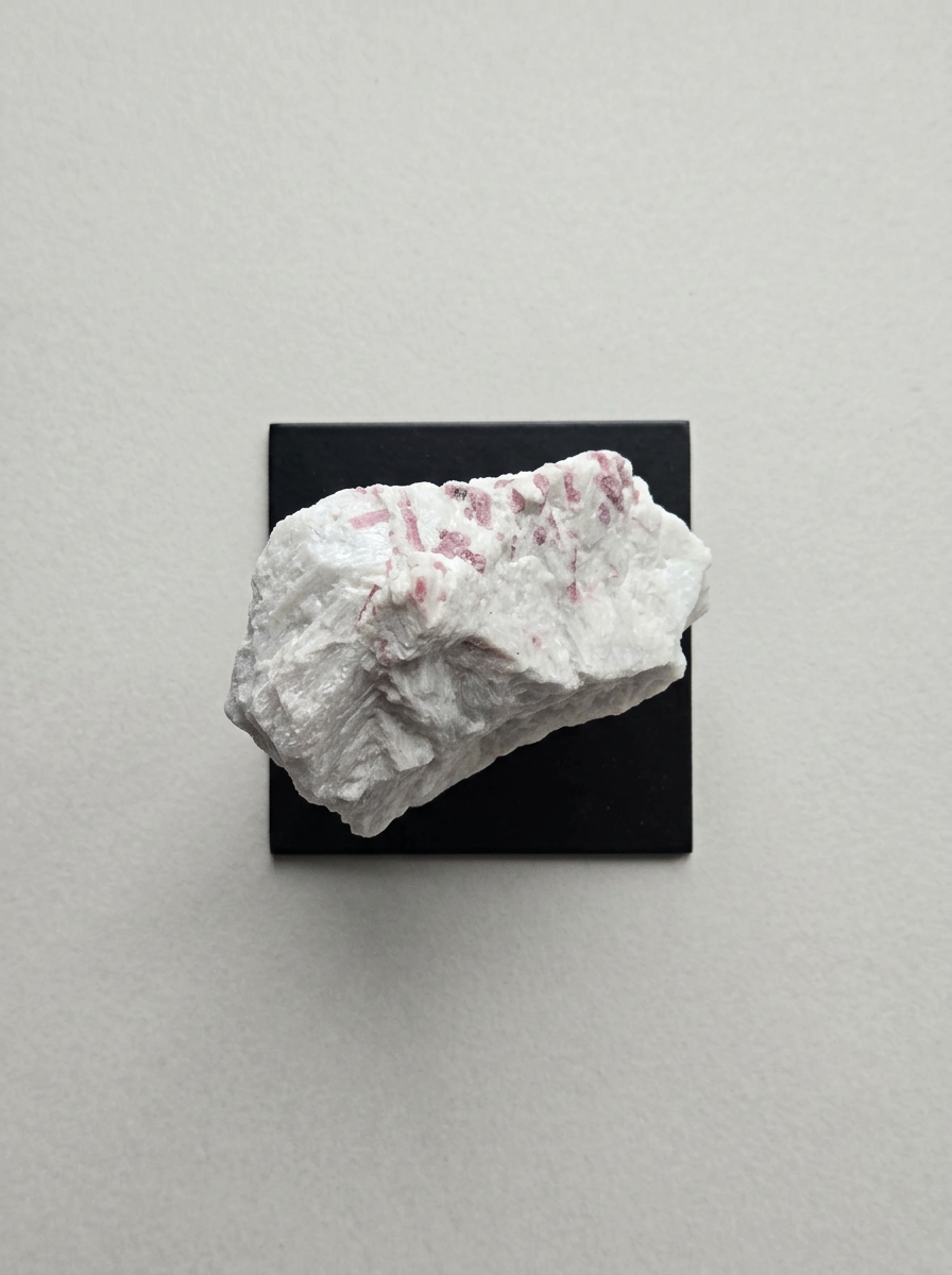 Generate_an_overhead_flat-lay_of-2 (4).png