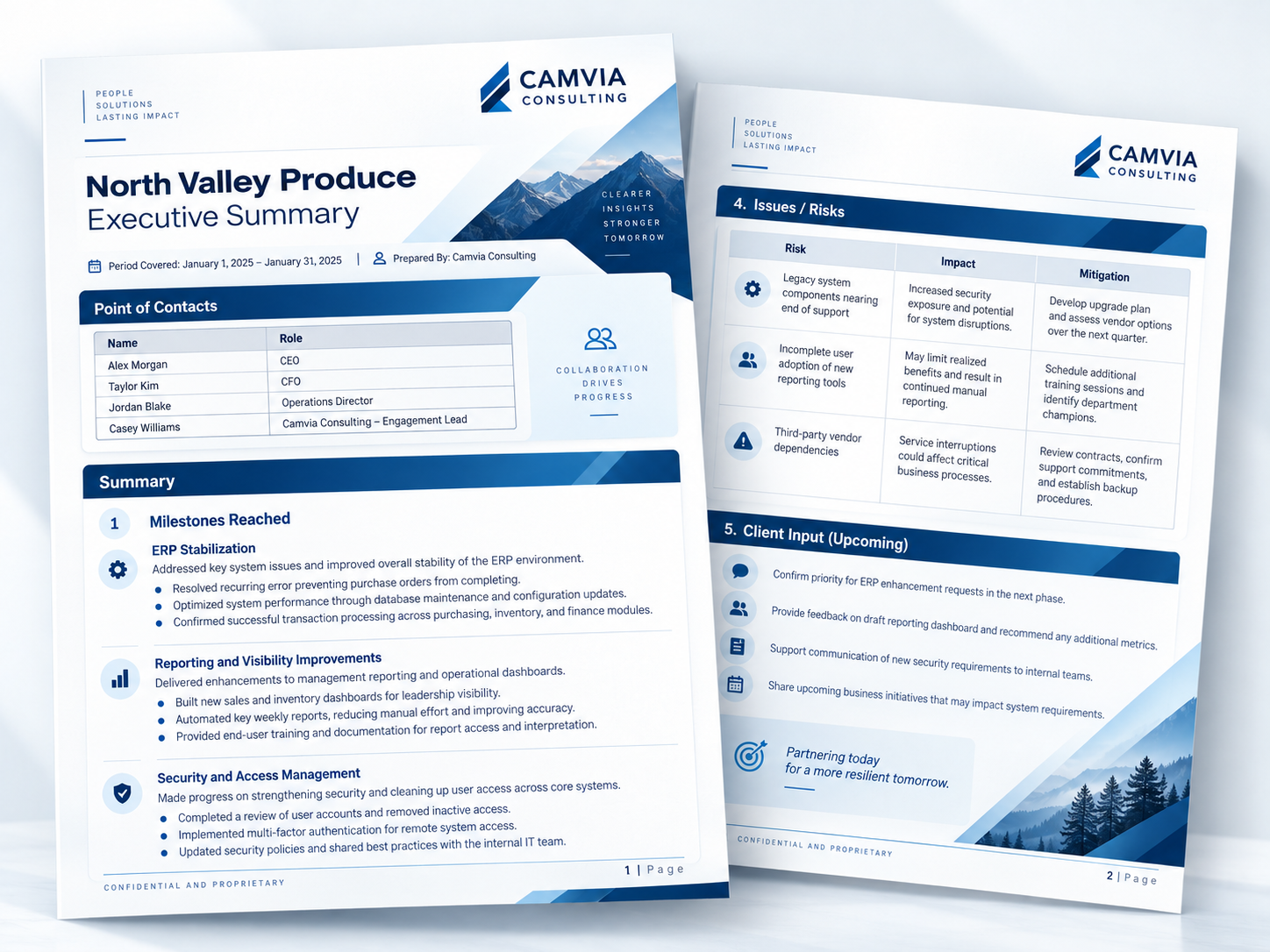 Automated Executive Reporting Workflow