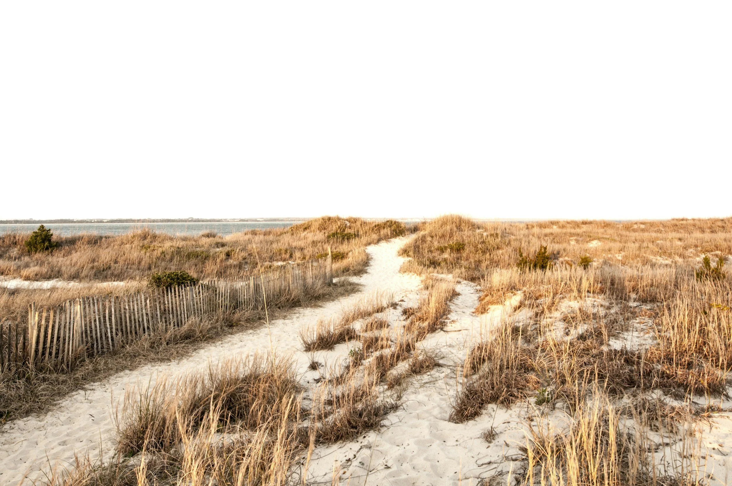 How to Choose an Eating Disorder Therapist: 7 Questions to Ask
