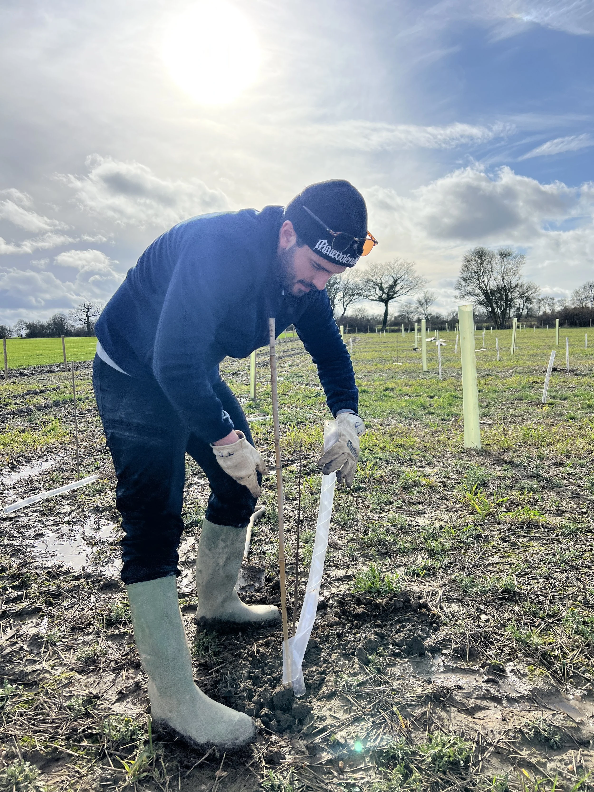 Oak, field maple, small-leaved lime, hazel, hornbeam and more native species ....