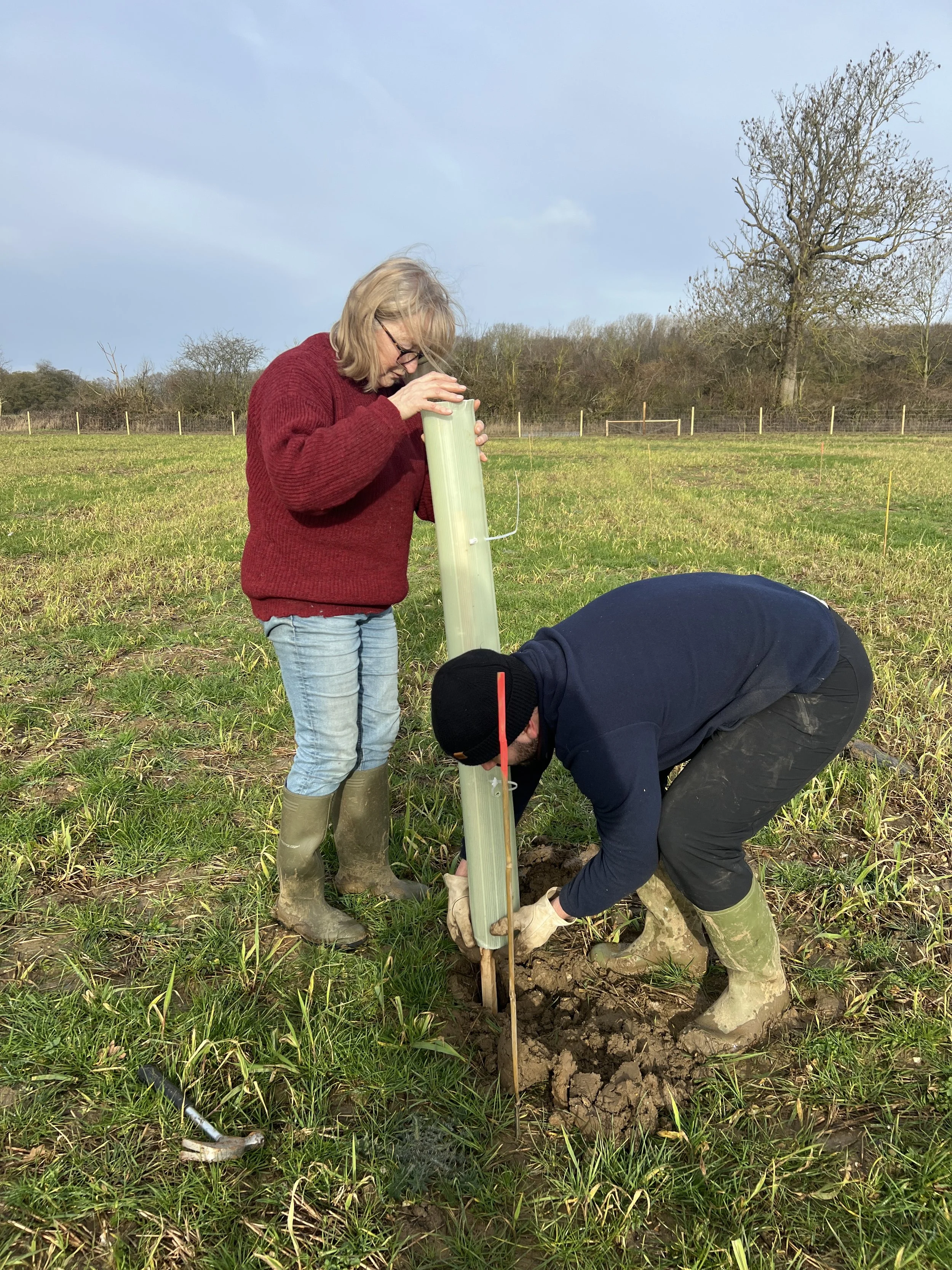 Tree planting began in earnest once the ground had dried out a bit