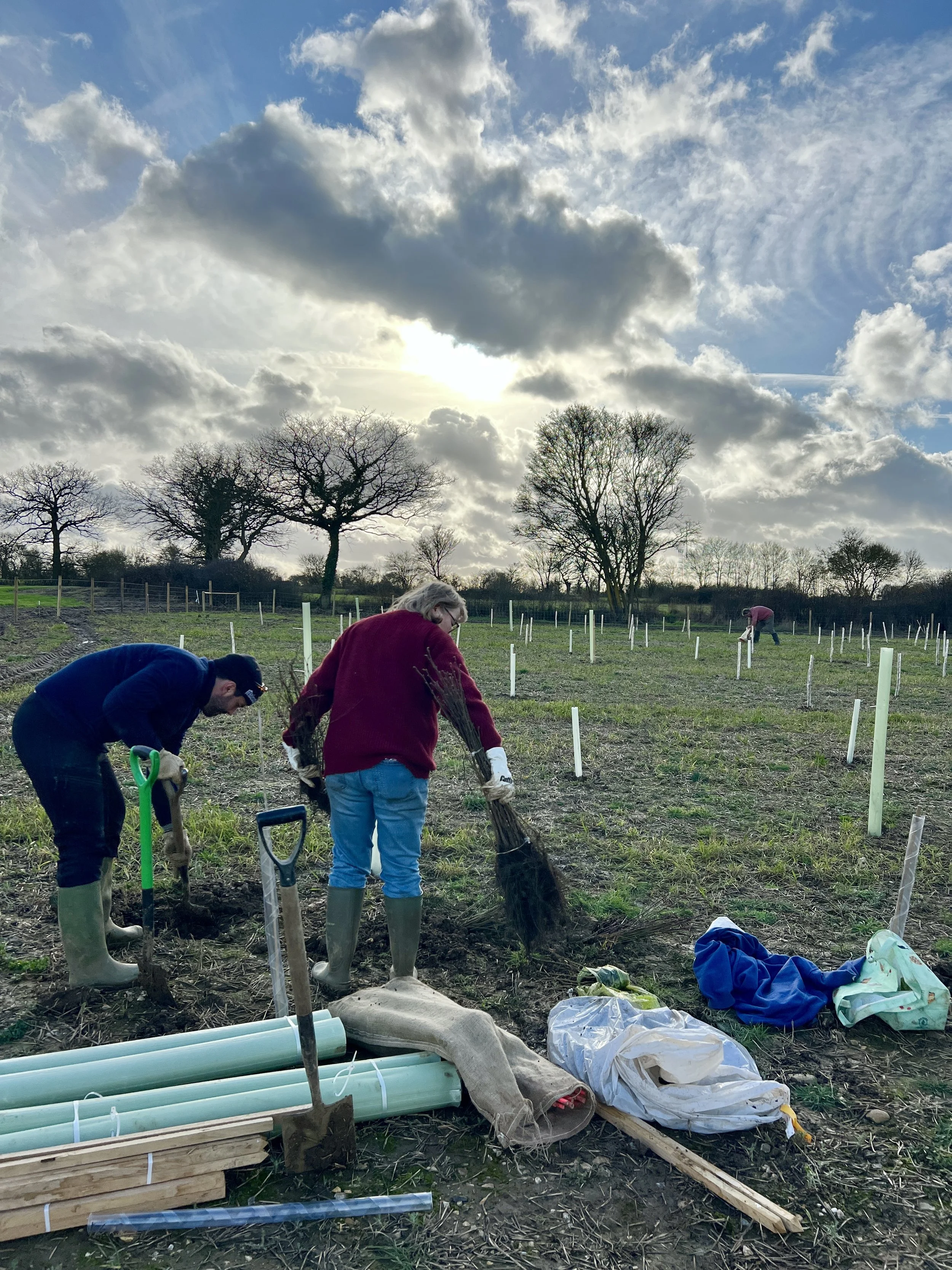 .... Until 1,000 trees and 100m of hedge were planted....