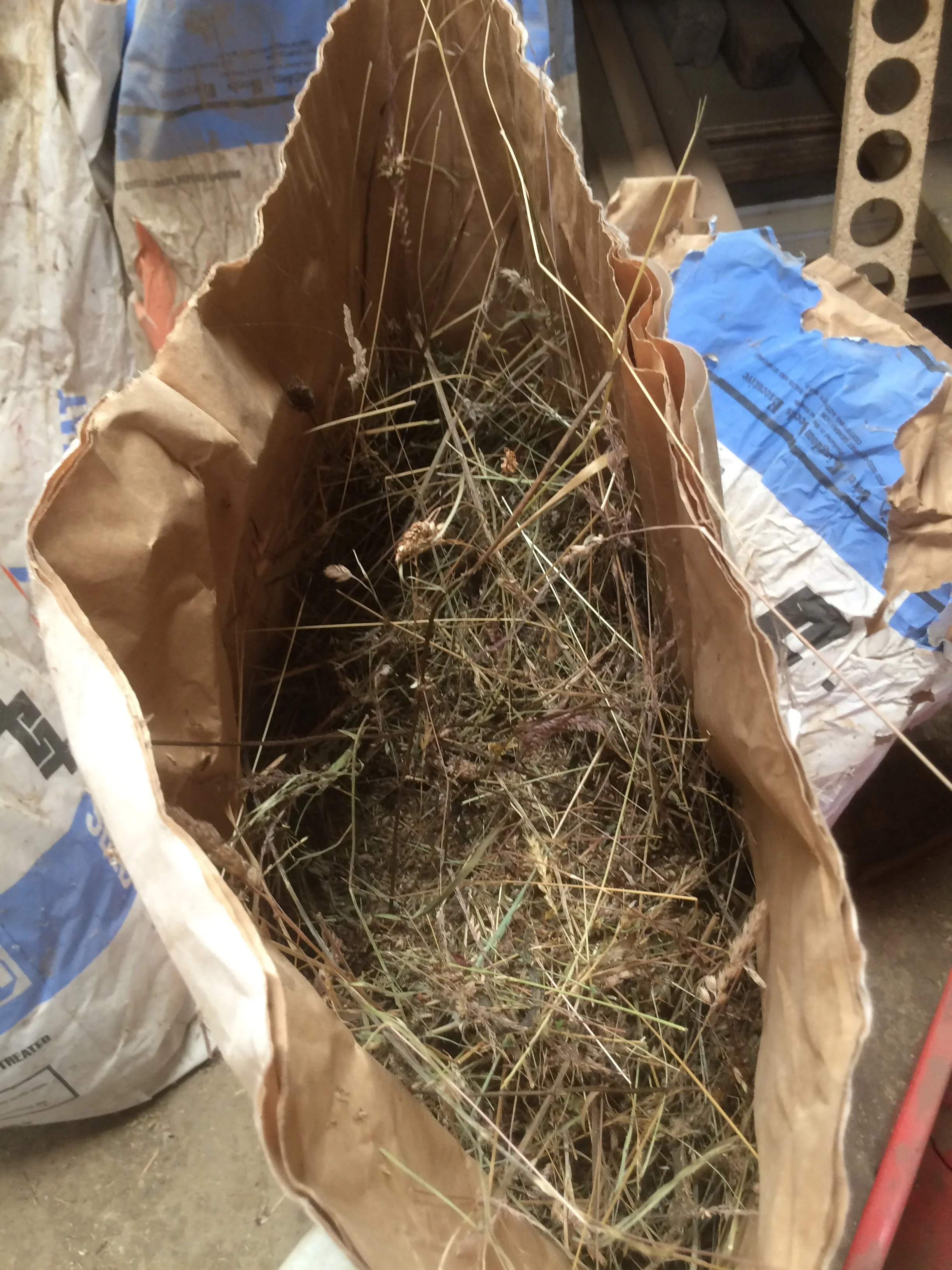 Bagged up dry wildflower seed