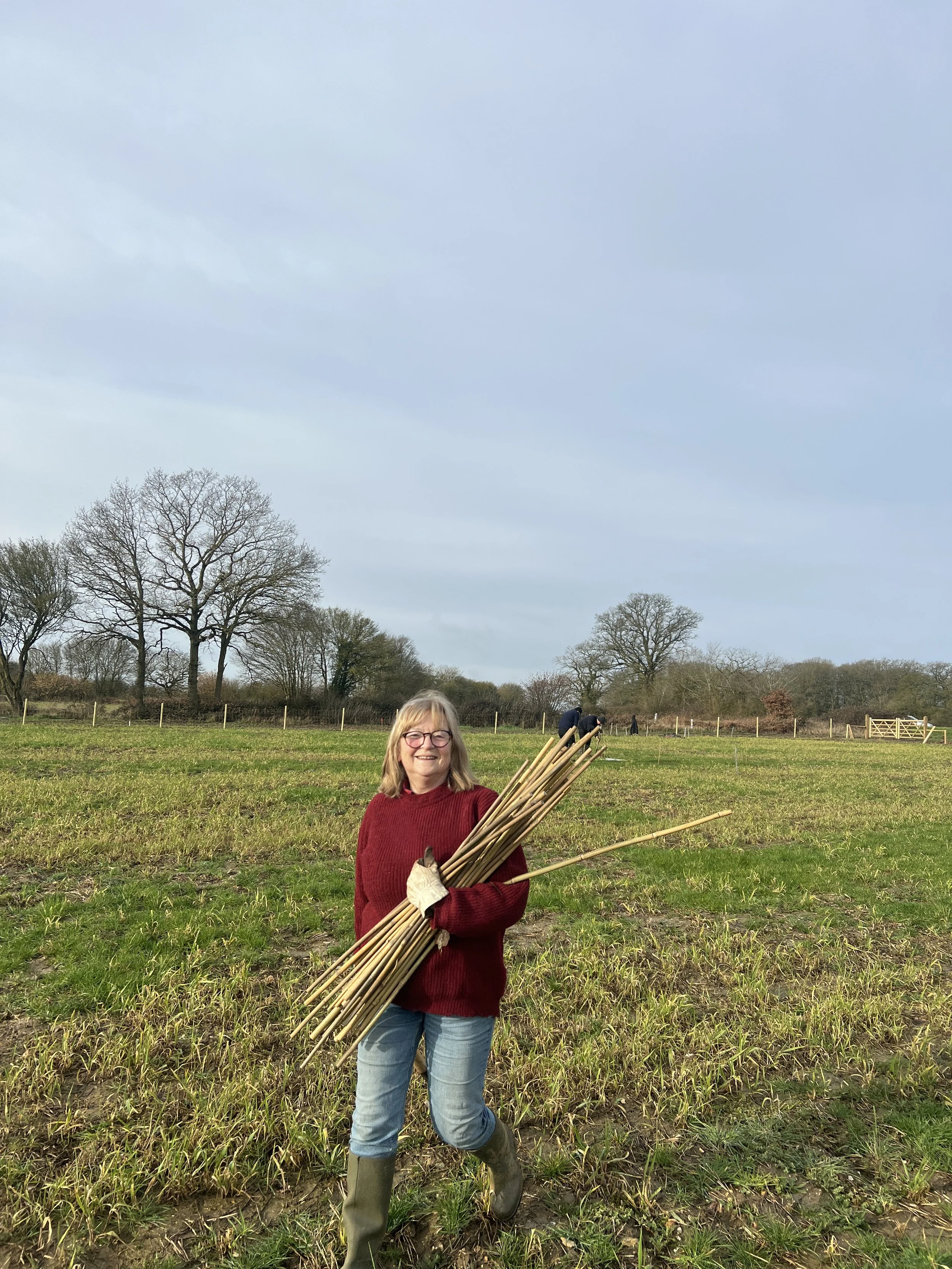 Tree and hedge locations were marked out with colour-coded canes