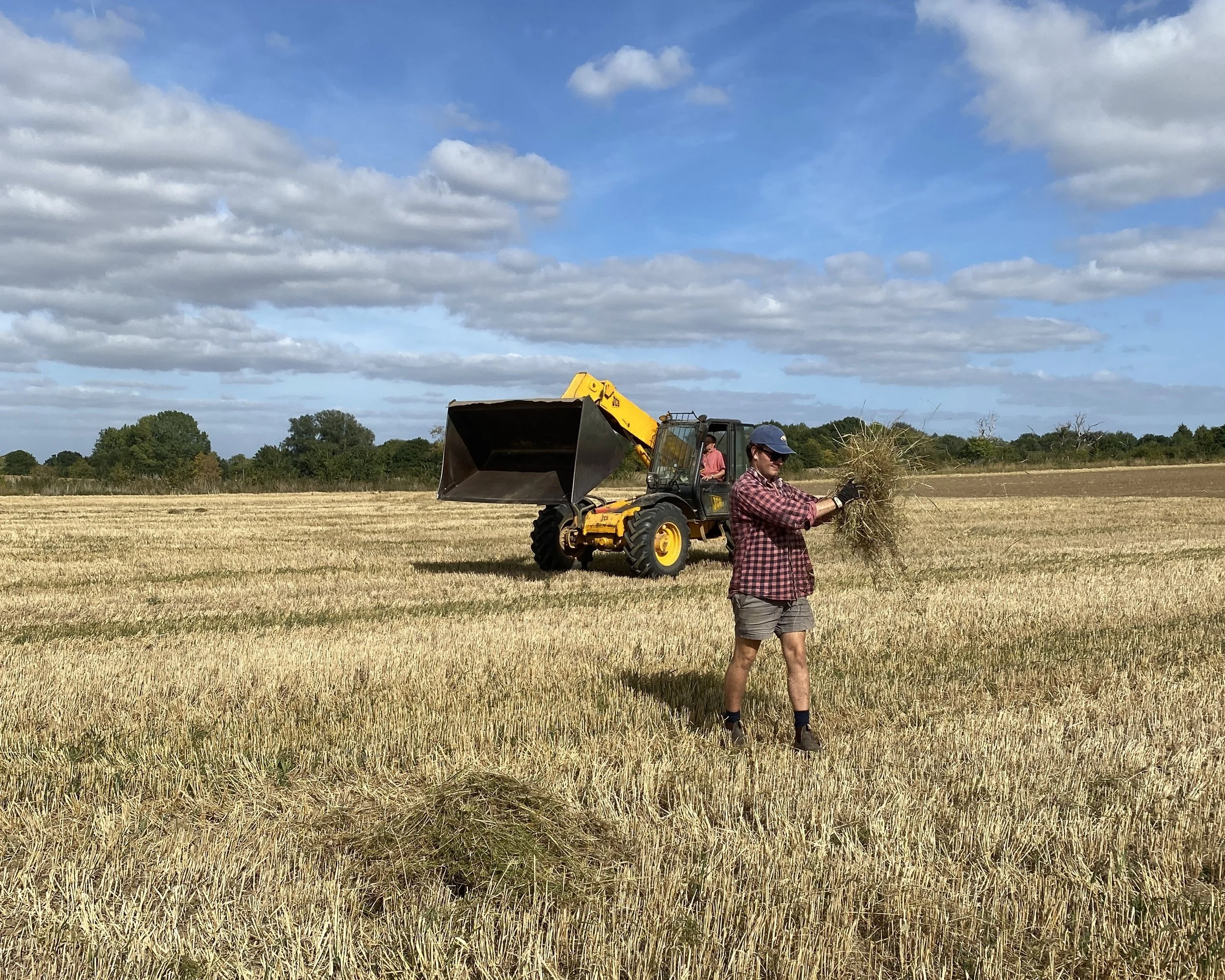 Strewing wildflower seed onto wheat stubbles in autumn 2025 