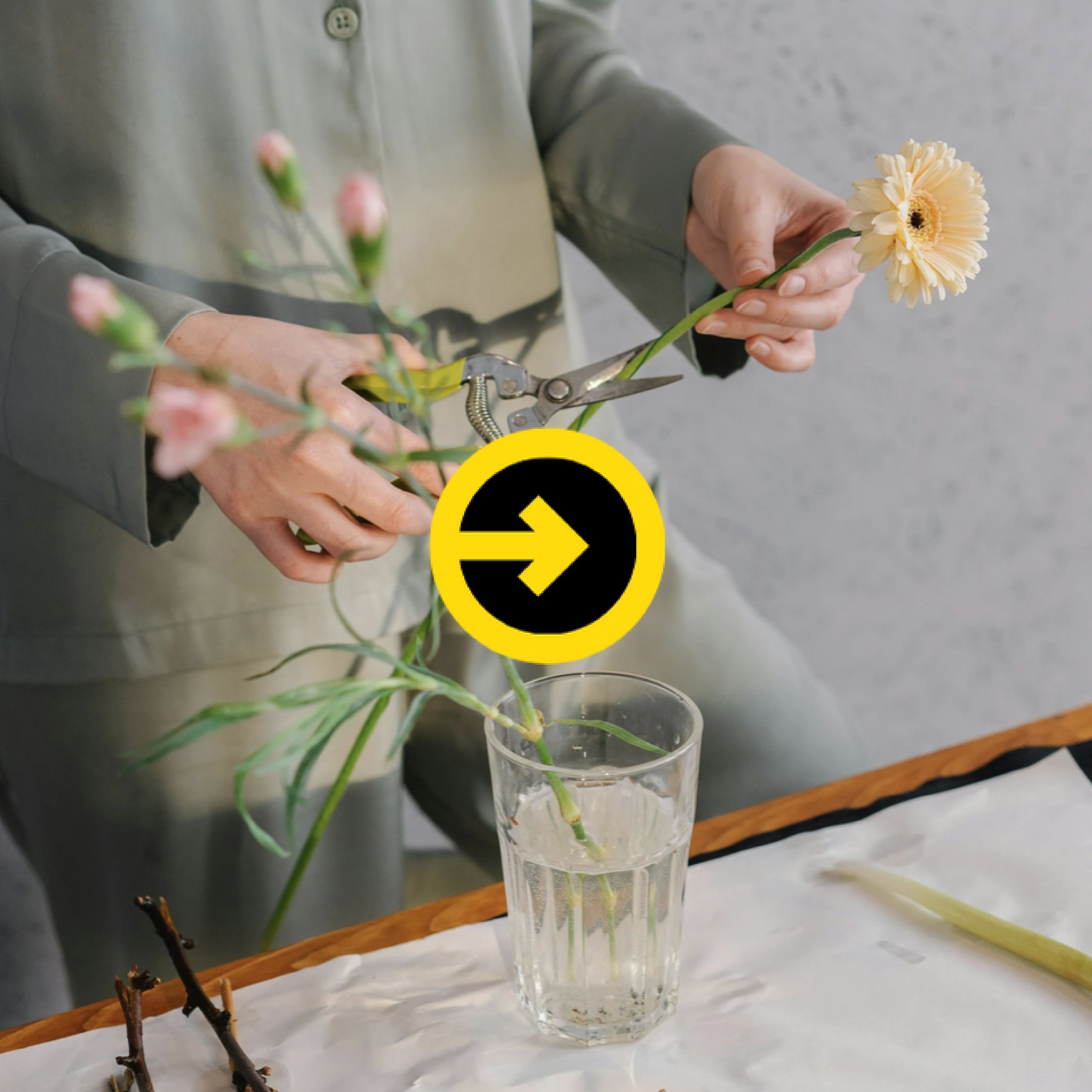 OTs Support Mental Health