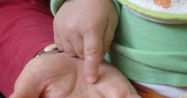 Retirar el decret  – Educar avui, blog de l’Associació de Mestres Rosa Sensat