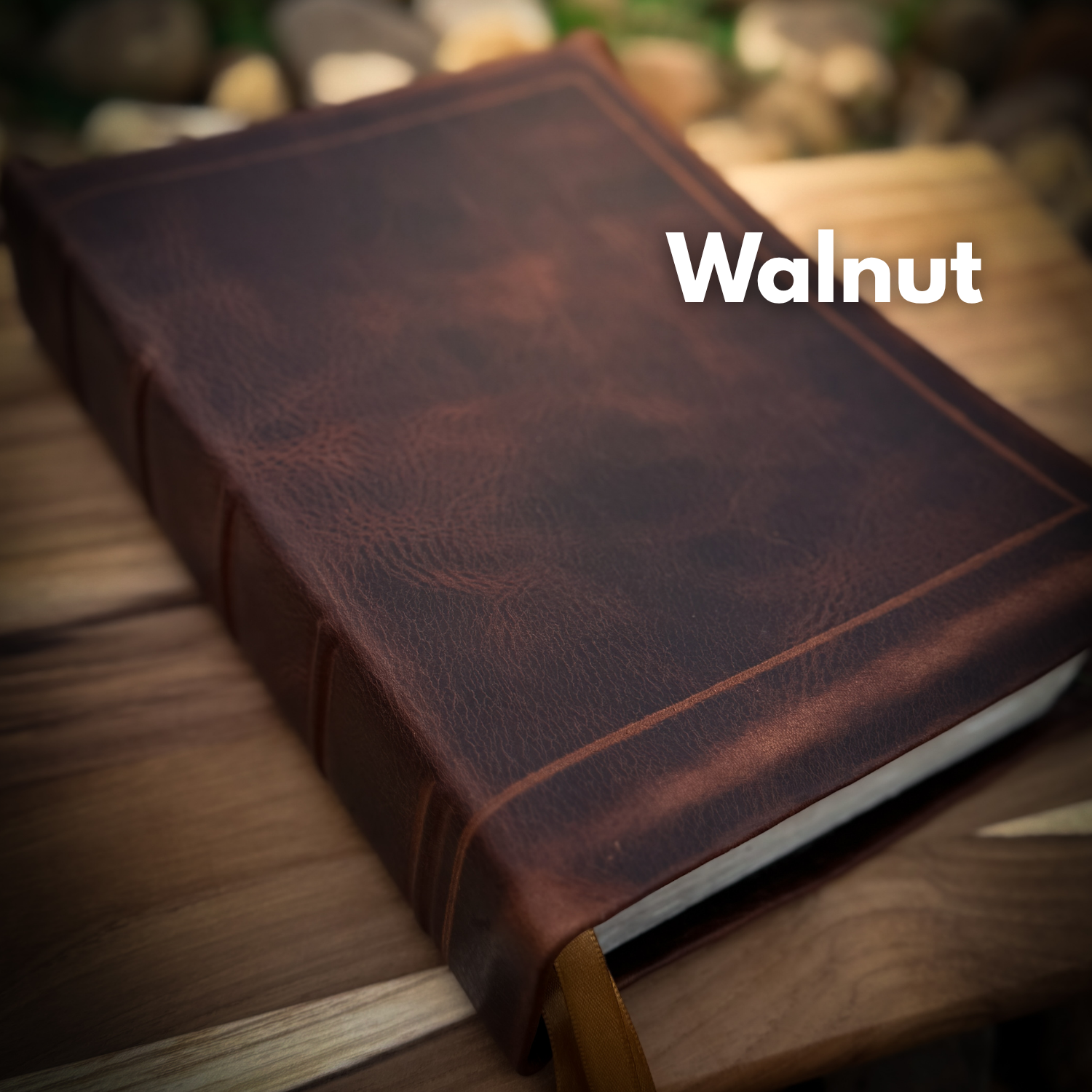 Bible Rebind - Free Quote