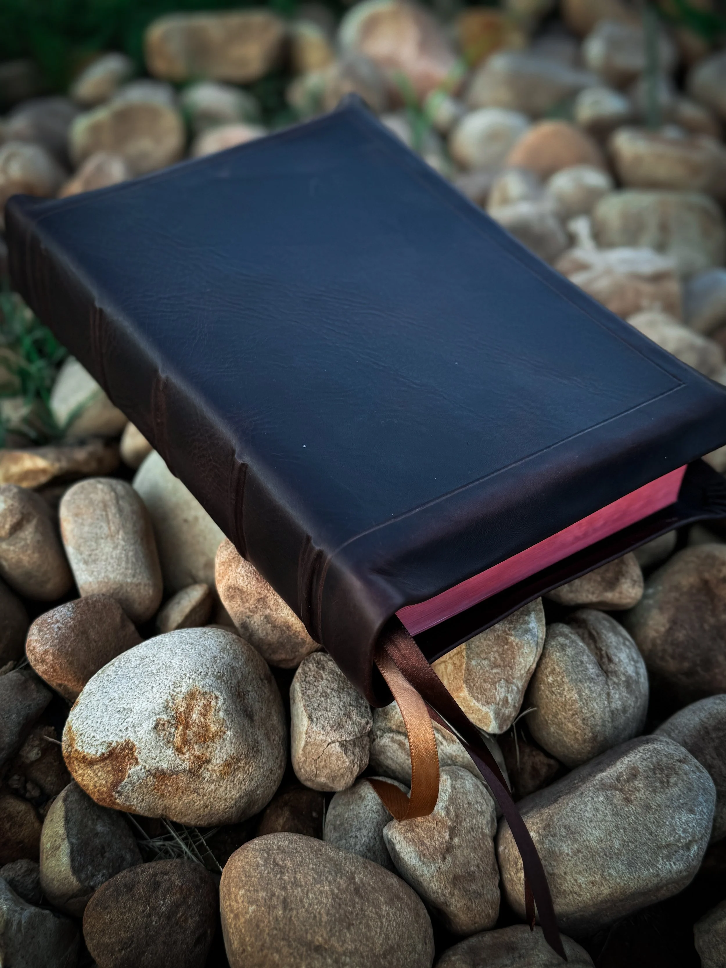 Closed black leather-bound book with pink and brown ribbons, resting on rocks.