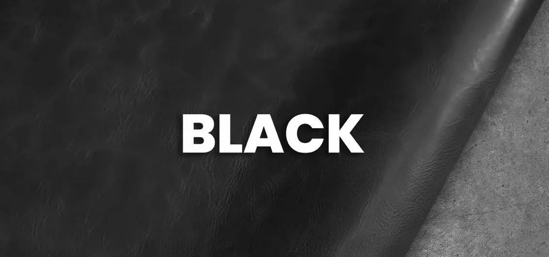IMG_4679.jpg