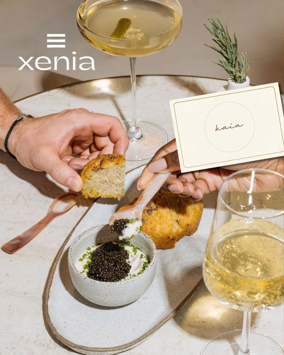 The holidays are a time to gather, to slow down, and to reconnect.

At Xenia, we believe the greatest gifts are shared moments&mdash;stories told across the table, laughter echoing over a good meal, and the feeling of being truly welcomed.

This seas