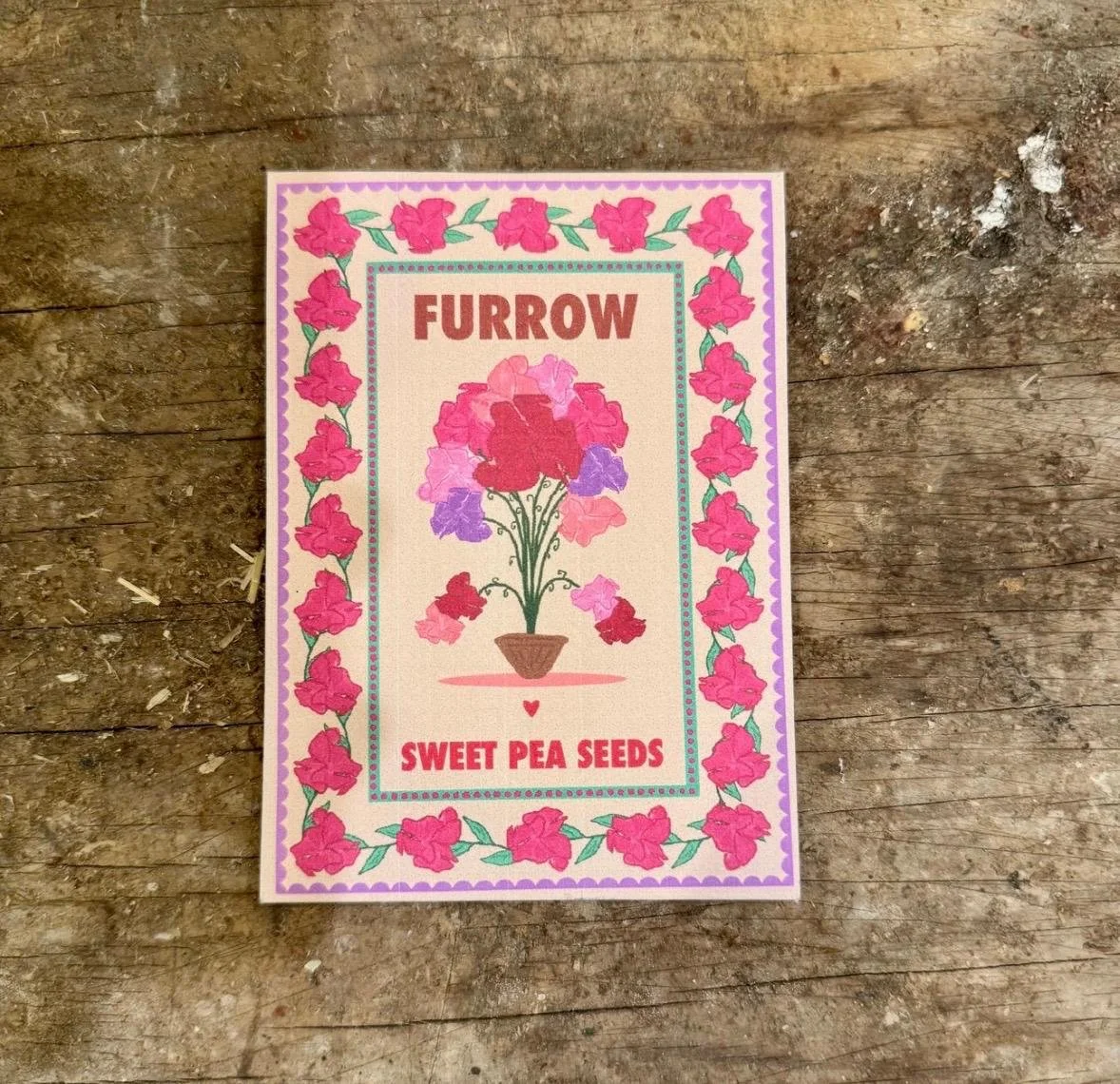 Sweet Pea Seeds