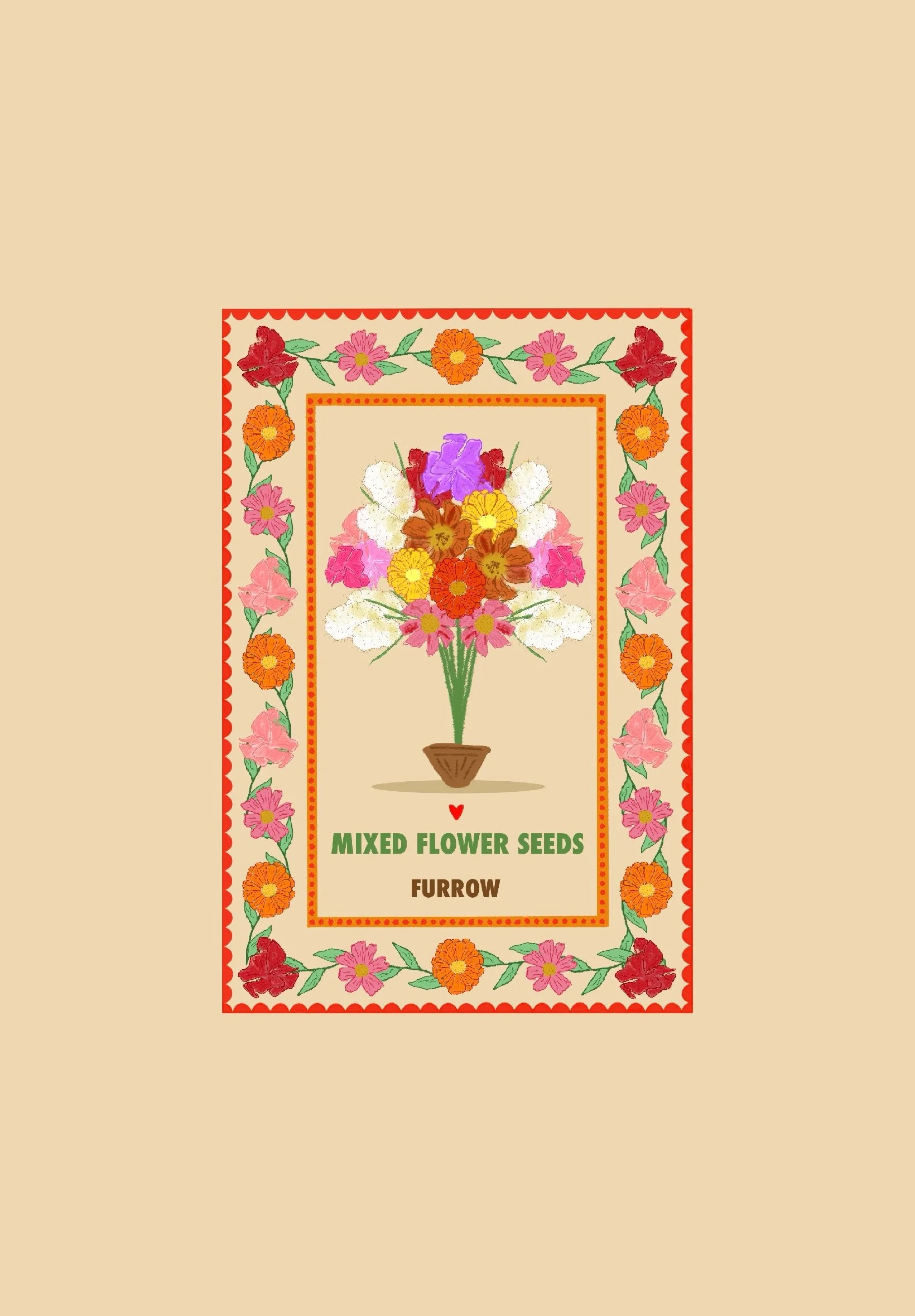 Mixed Flower Seeds Selection 