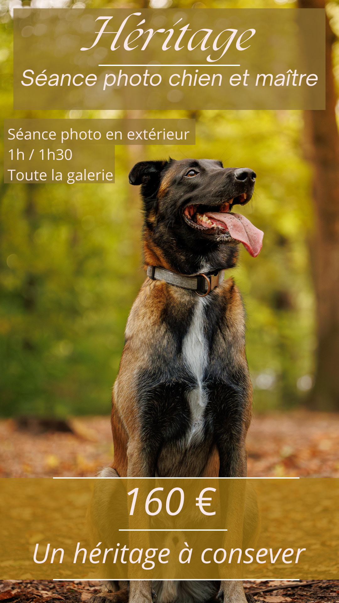 une offre seance photographe chien le mans