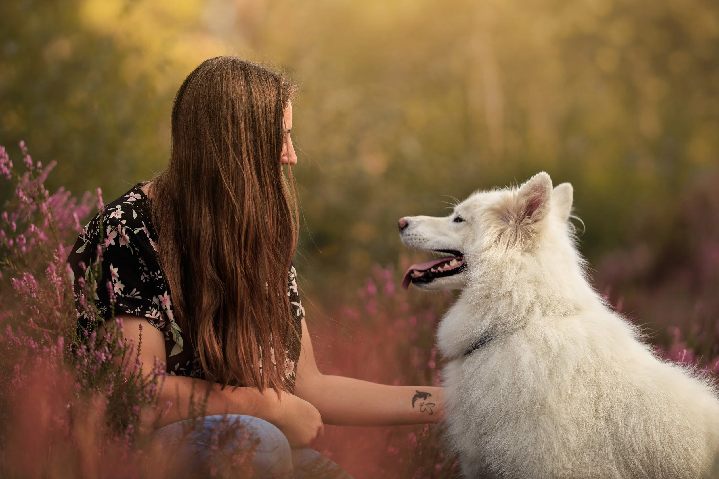 Une femme aux cheveux longs et brun voyageant dans une forêt, face à un chien blanc de race husky. La femme porte un vêtement à motifs floraux et est assise parmi des plantes roses. Le chien regarde la femme, le museau pointé vers elle, dans un environnement naturel et paisible.