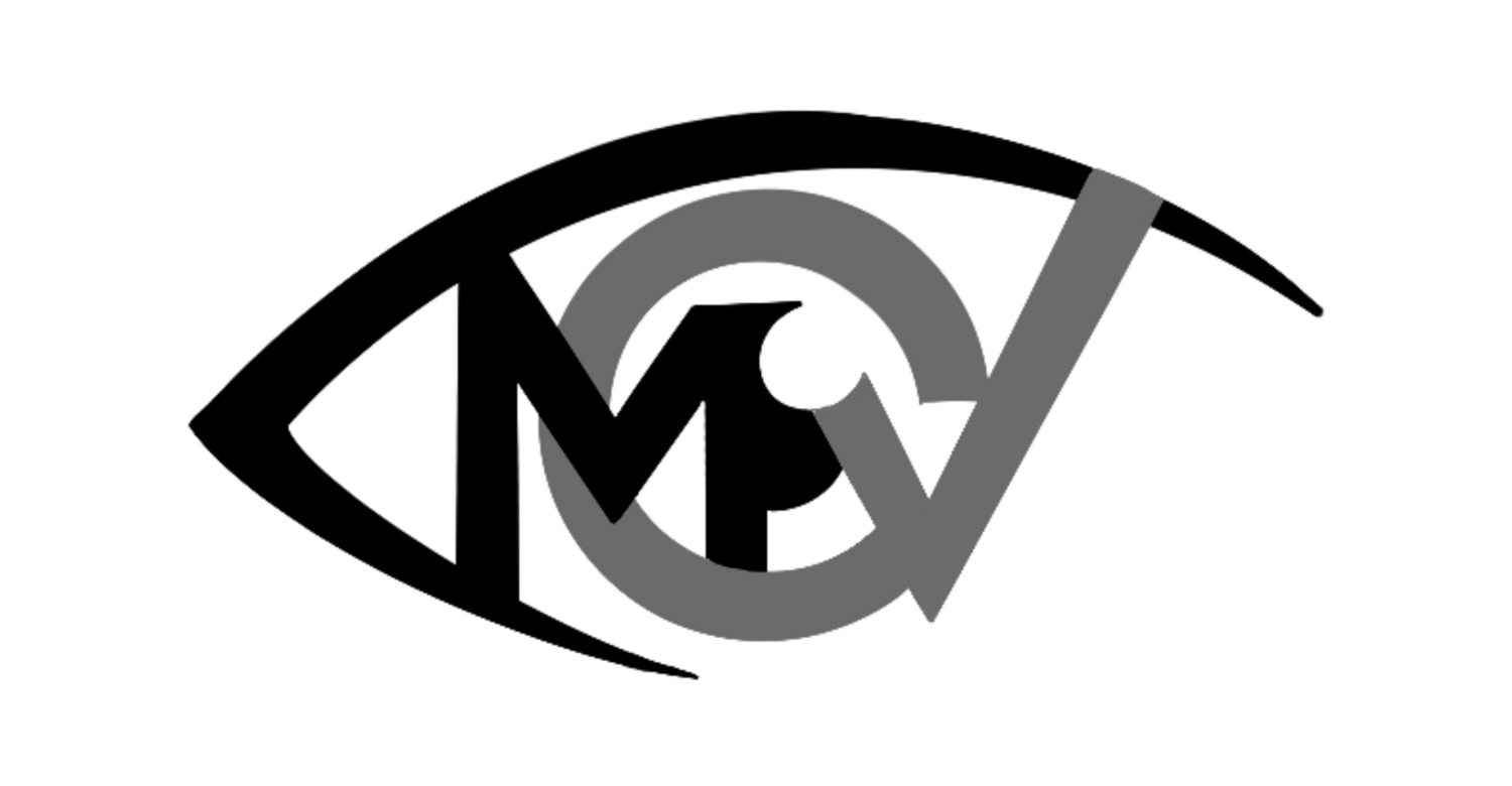 My Vision Therapeutic Mentoring