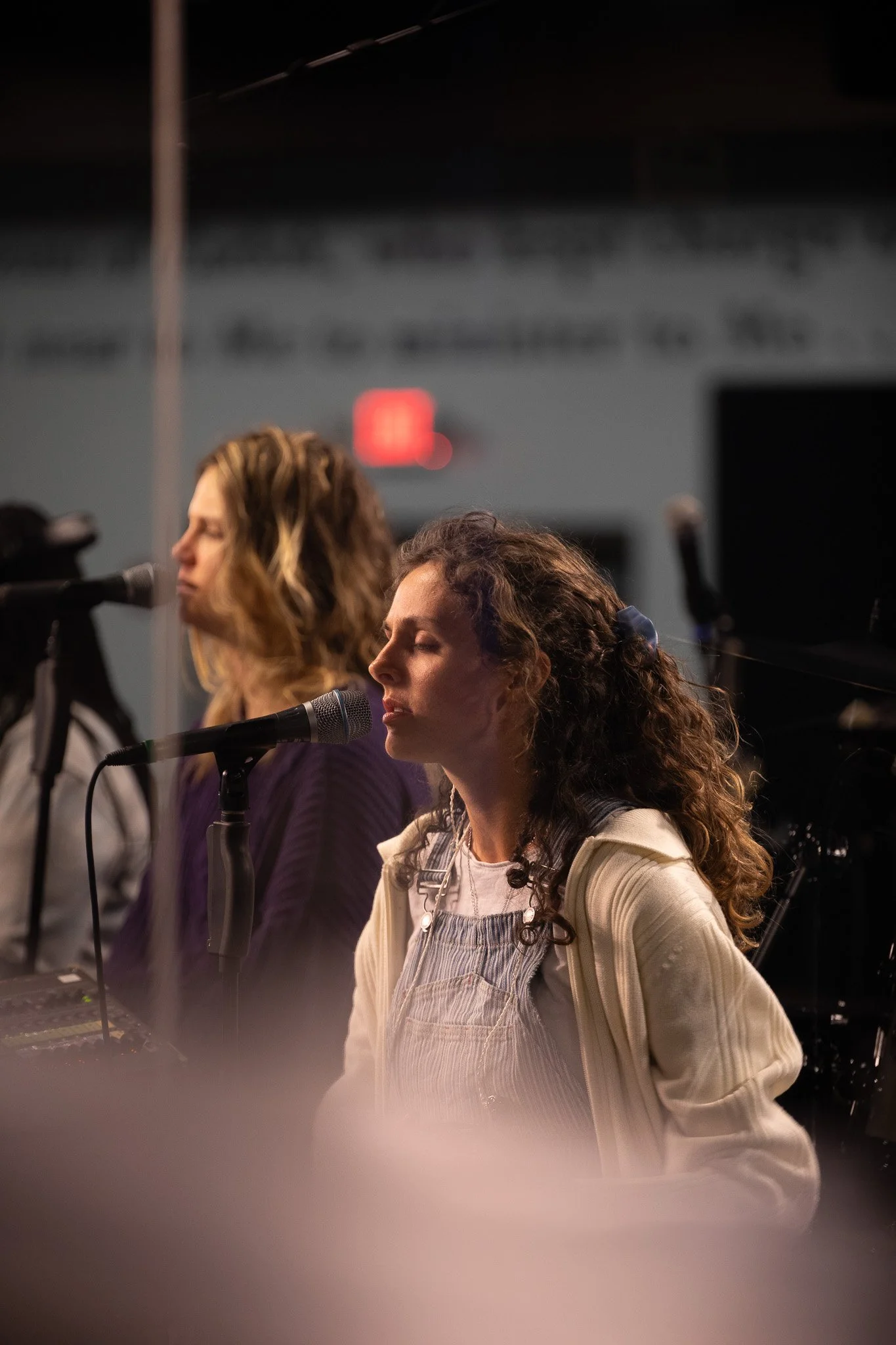 Two women singing into microphones during a performance, with musical equipment around them and a blurred background.