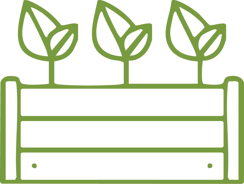 Line drawing of a wooden planter box with three plants that have large leaves.