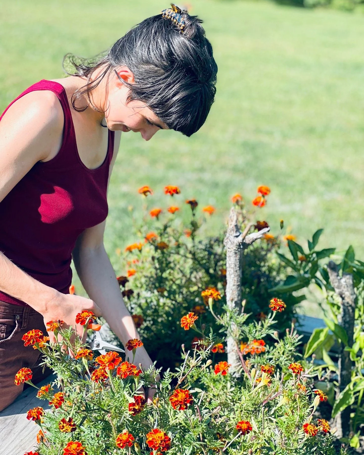 A woman wearing a maroon tank top, bending over in a garden with orange and red flowers, using pruning shears.
