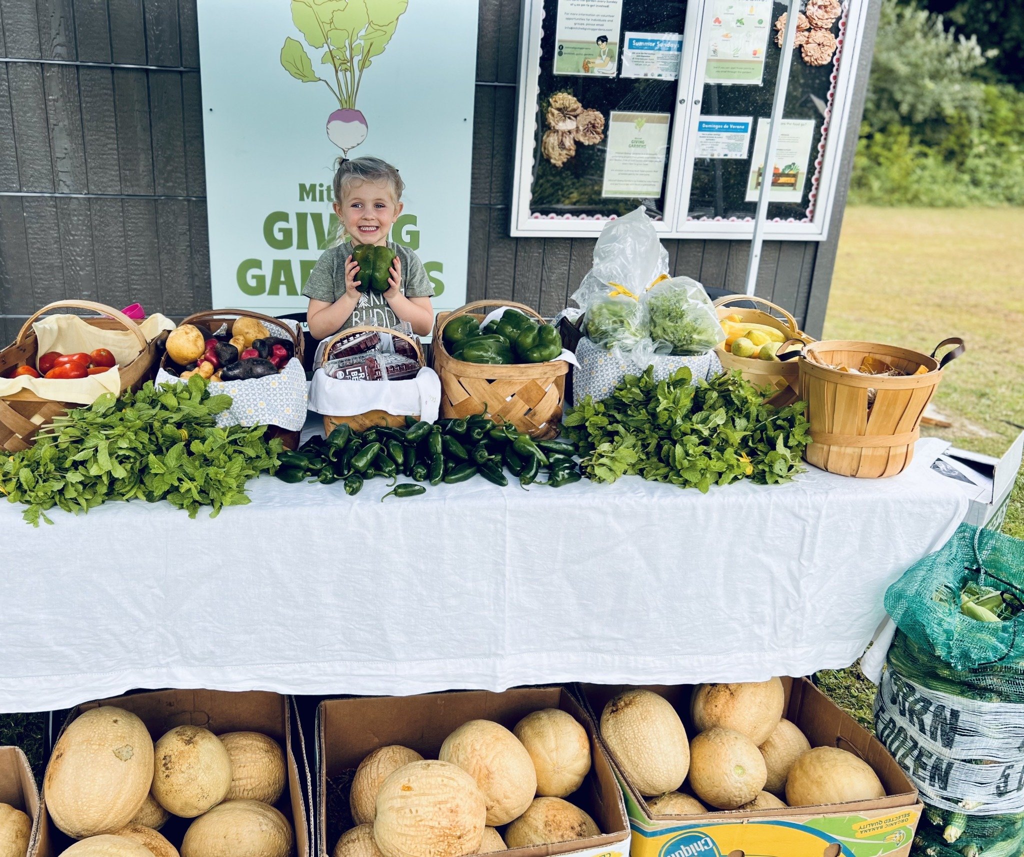 A kid at a farmers market standing behind a table of fresh produce, including tomatoes, peppers, eggplants, and greens, with a sign in the background that reads 'Giving Gardens'.