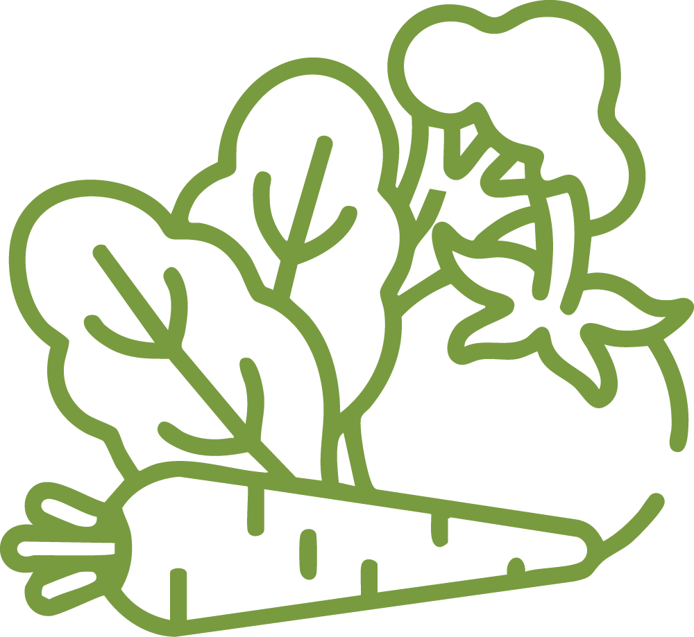Outline drawing of mixed leafy greens, including lettuce and possibly spinach or kale.