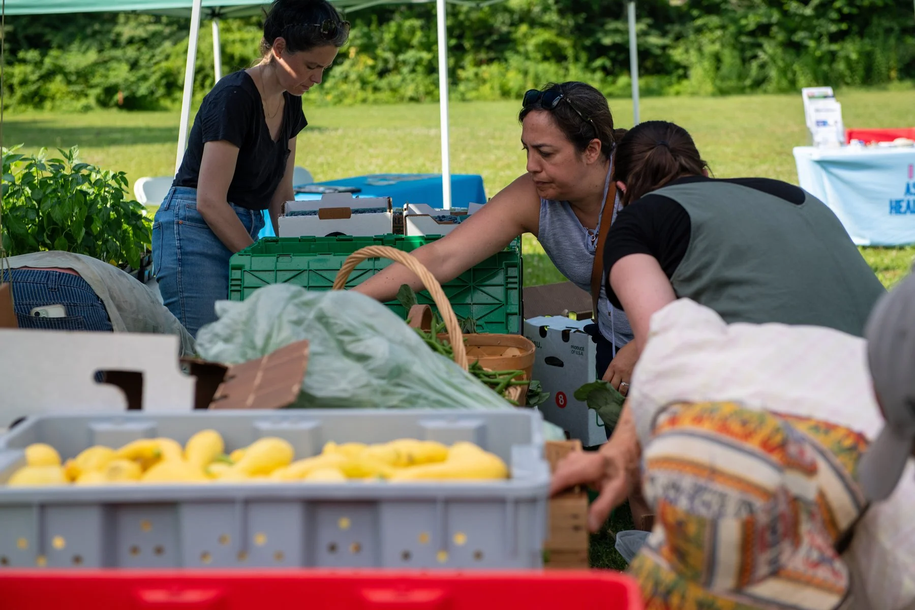 People at an outdoor farmers market with fresh produce such as yellow peppers, green leaves, and boxes of vegetables and fruits under a tent.