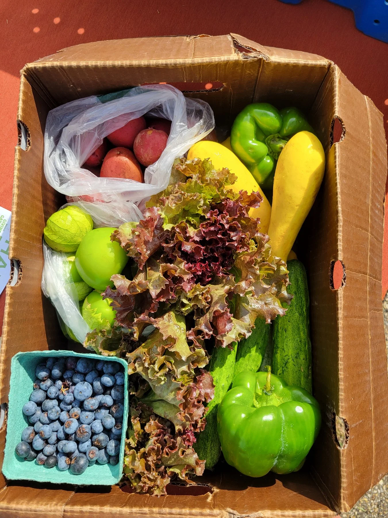 A cardboard box filled with fresh fruits and vegetables, including red potatoes, green and yellow bell peppers, cucumbers, blueberries, and a small bunch of grapes, with some leafy greens in the center.