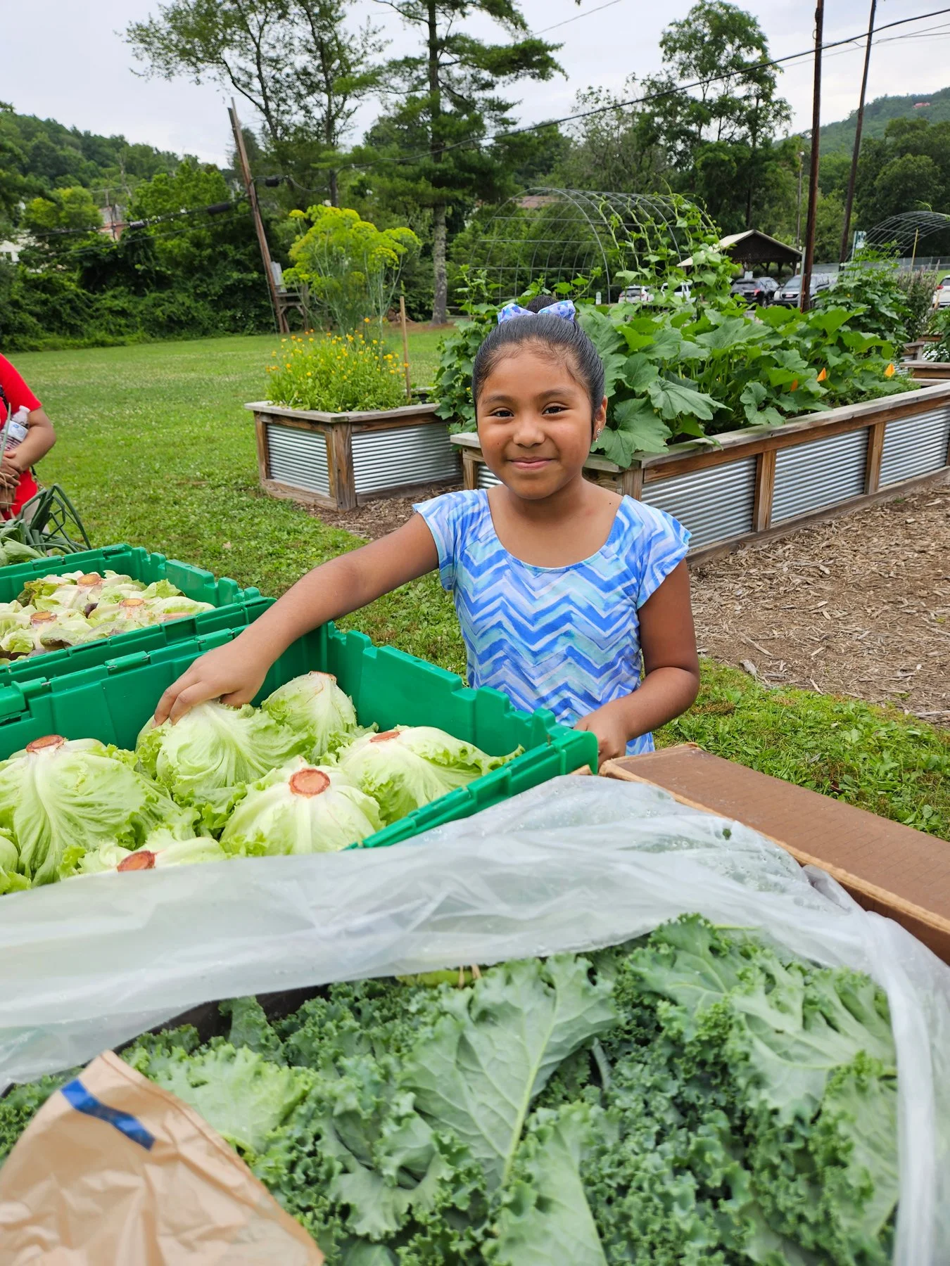 A young girl with dark hair in a ponytail, wearing a blue dress, is at an outdoor farm stand. She is smiling and reaching into a green crate filled with head lettuce. Behind her, there are raised garden beds with various green plants.
