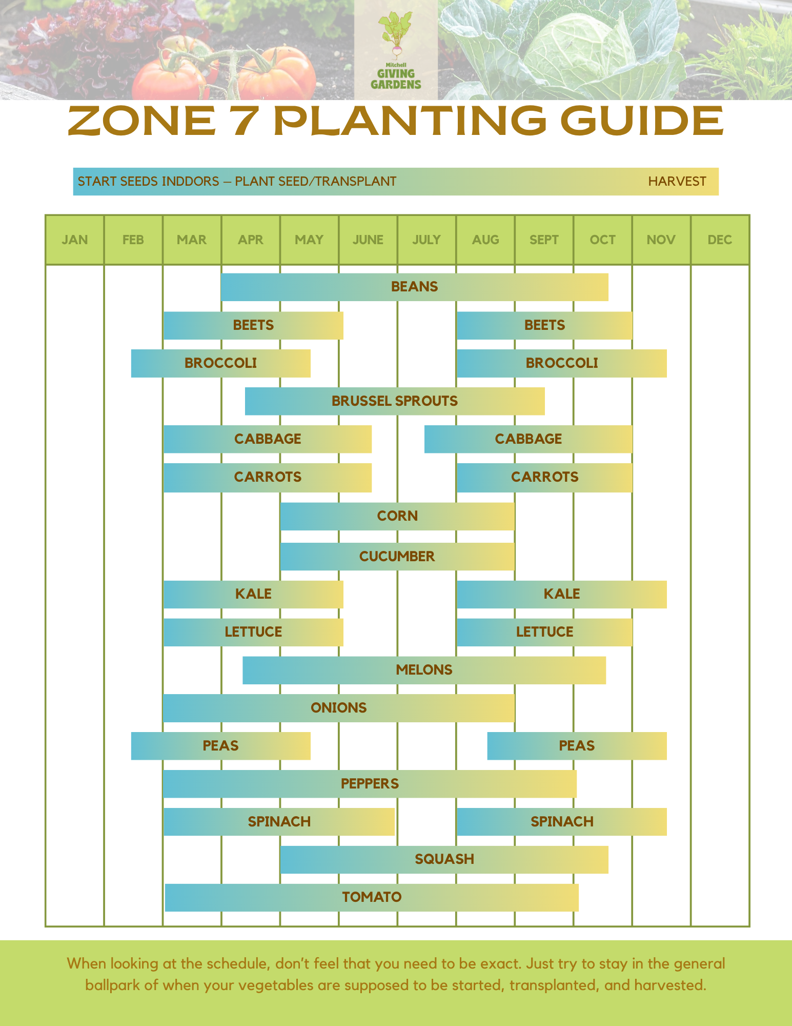 A gardening schedule chart titled 'Zone 7 Planting Guide' with planting months for various vegetables. The chart includes columns for each month from January to December and rows listing vegetables like beans, beets, broccoli, Brussels sprouts, cabbage, carrots, corn, cucumber, kale, lettuce, melons, onions, peas, peppers, spinach, squash, and tomato. Each vegetable has a colored bar indicating the planting period, with some extending over multiple months.