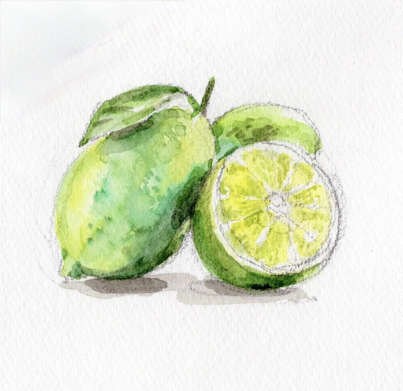 ライム.jpg